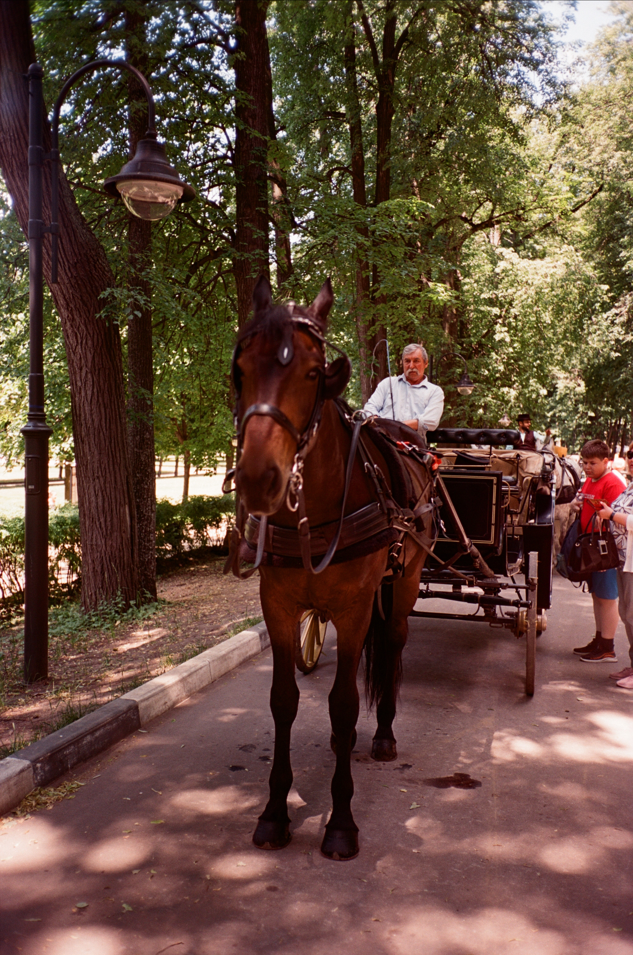 Архангельское. Лето. Июль. Фотограф-документалист Мария Осокина