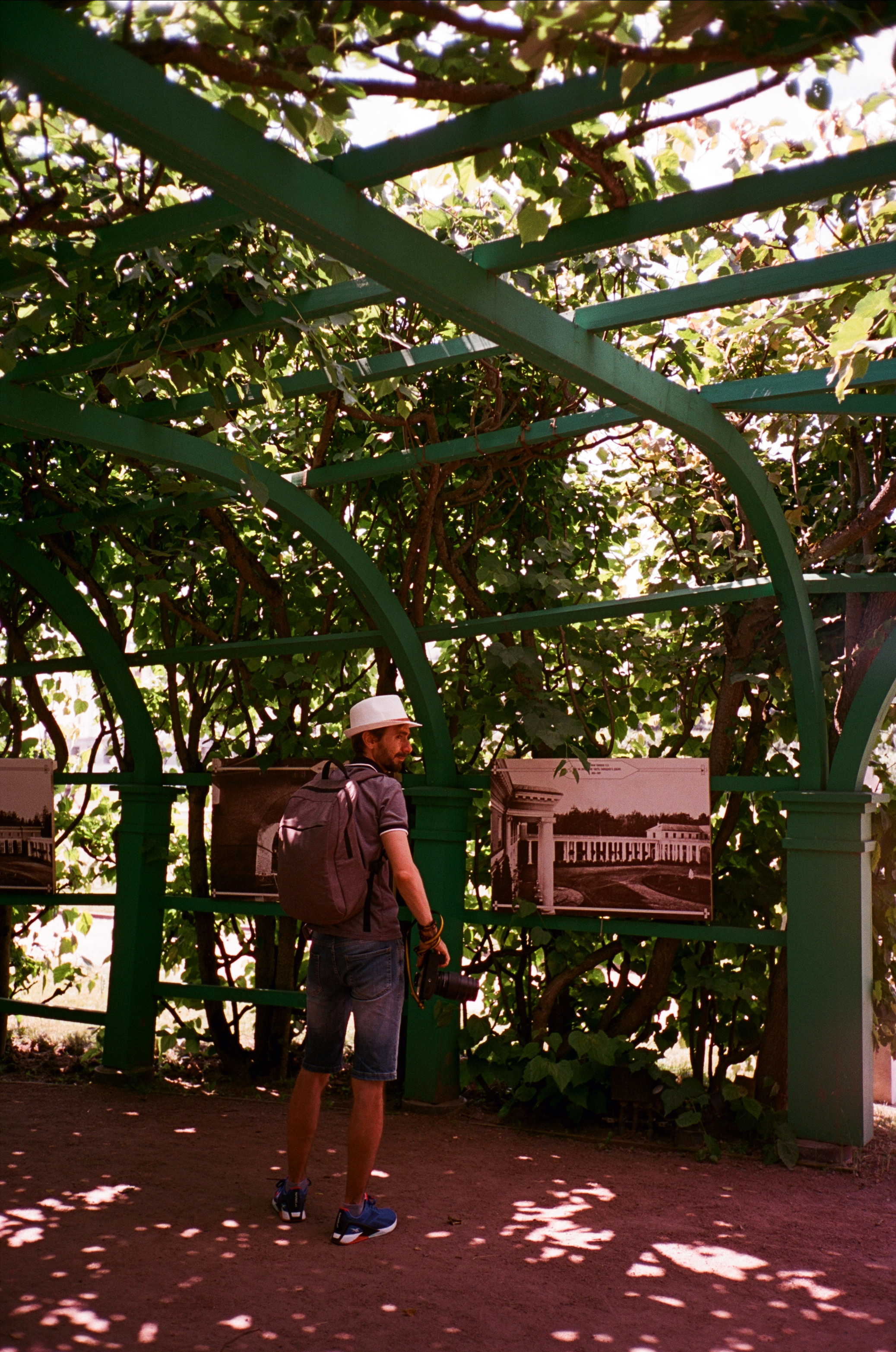 Архангельское. Лето. Июль. Фотограф-документалист Мария Осокина