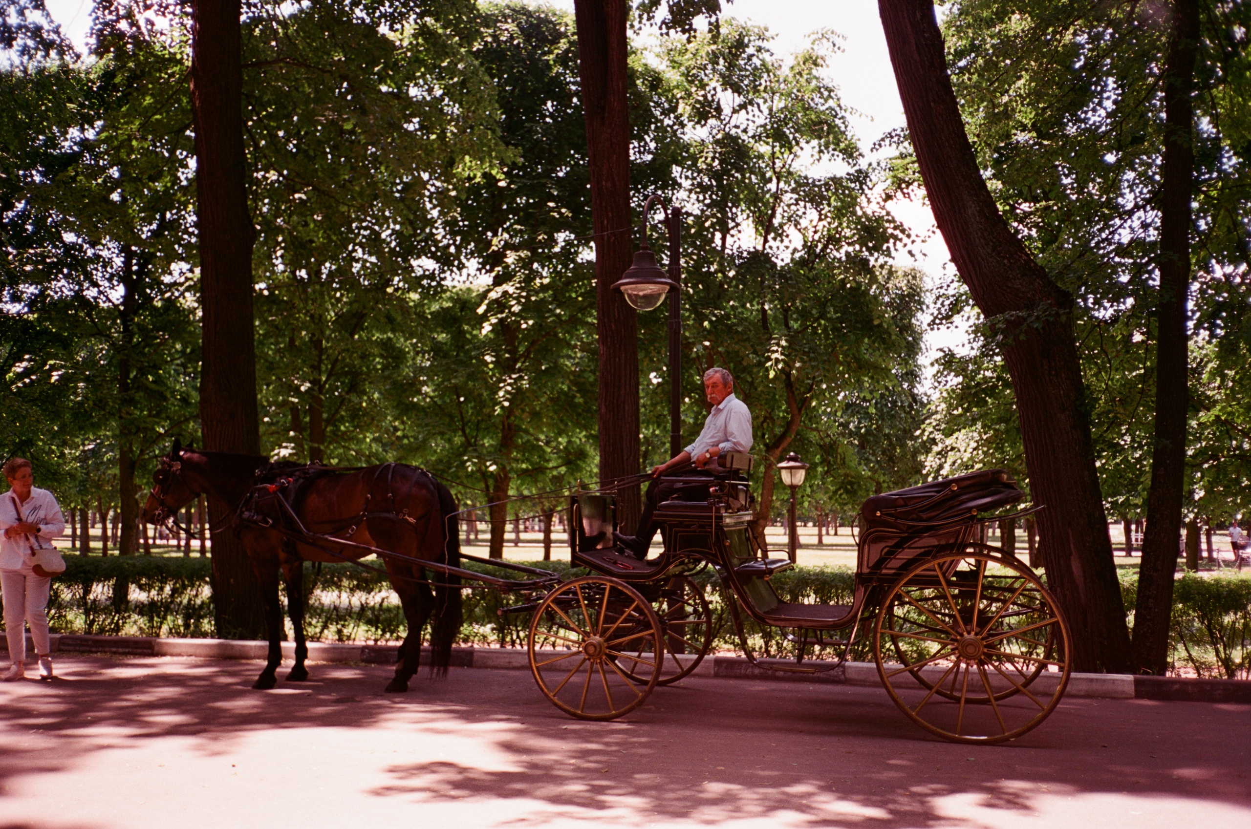 Архангельское. Лето. Июль. Фотограф-документалист Мария Осокина