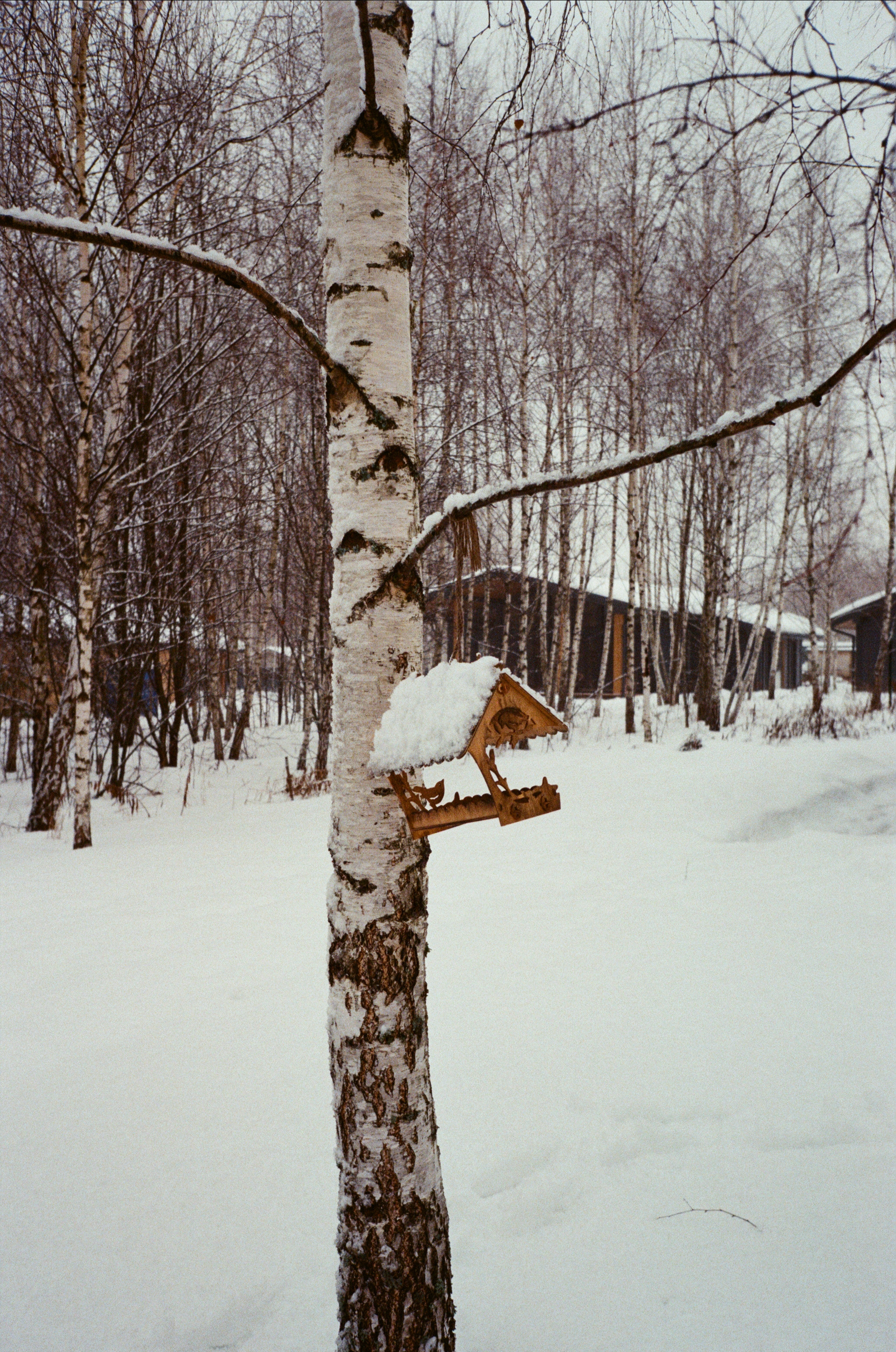 ДубльДом. Hygge Dacha. Фотограф-документалист Мария Осокина
