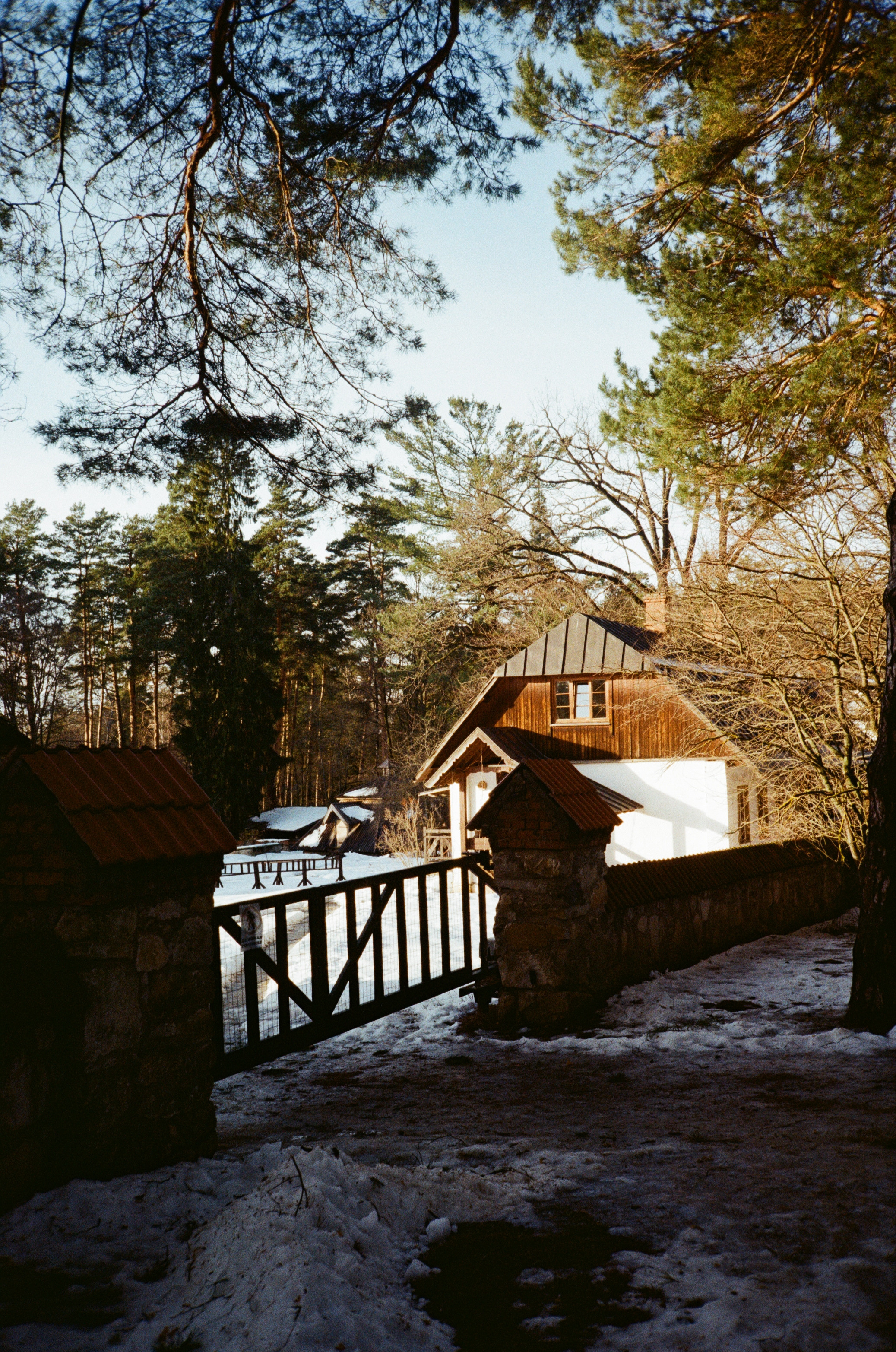 Поленово. Фотограф-документалист Мария Осокина