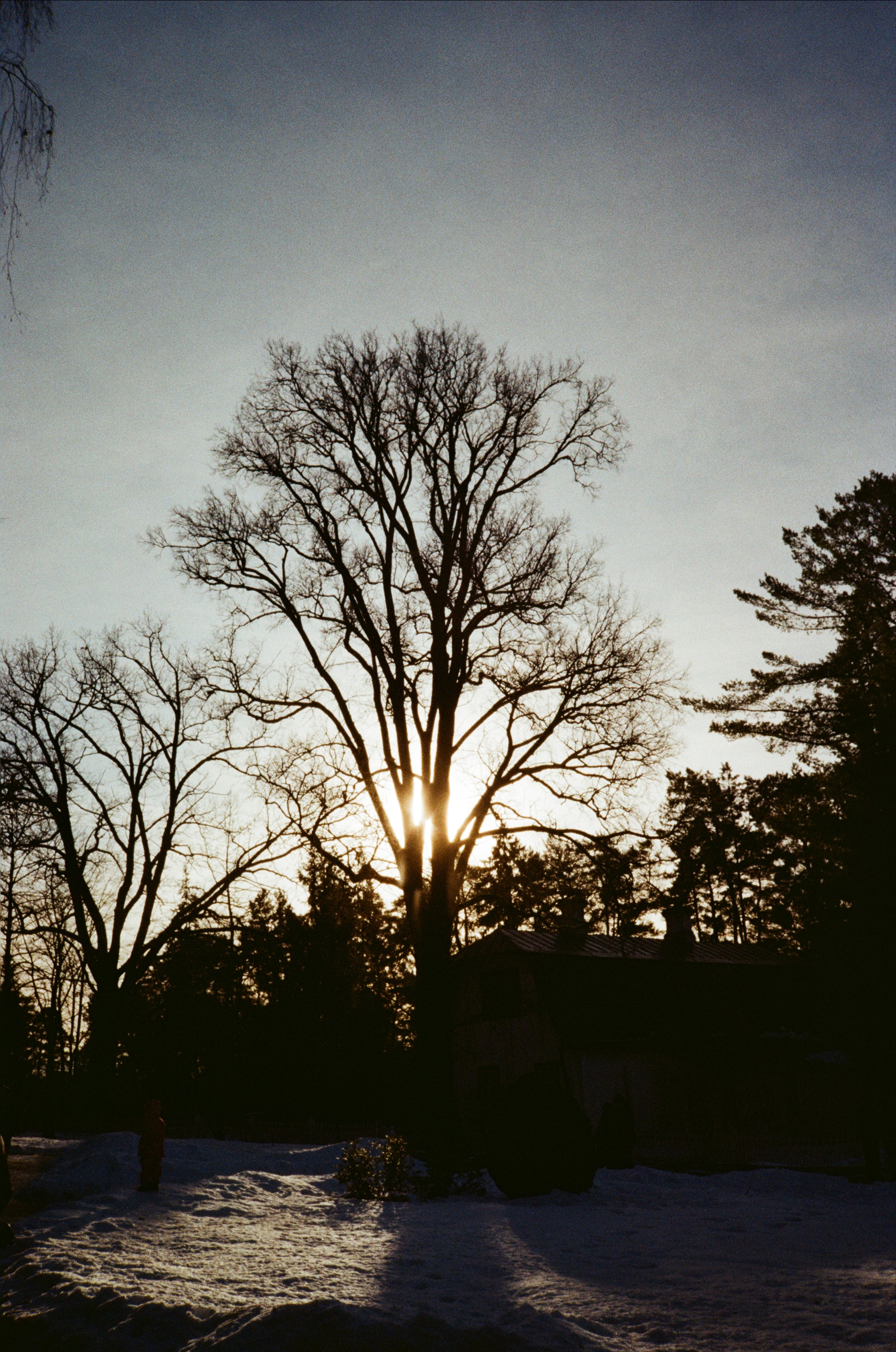 Поленово. Фотограф-документалист Мария Осокина