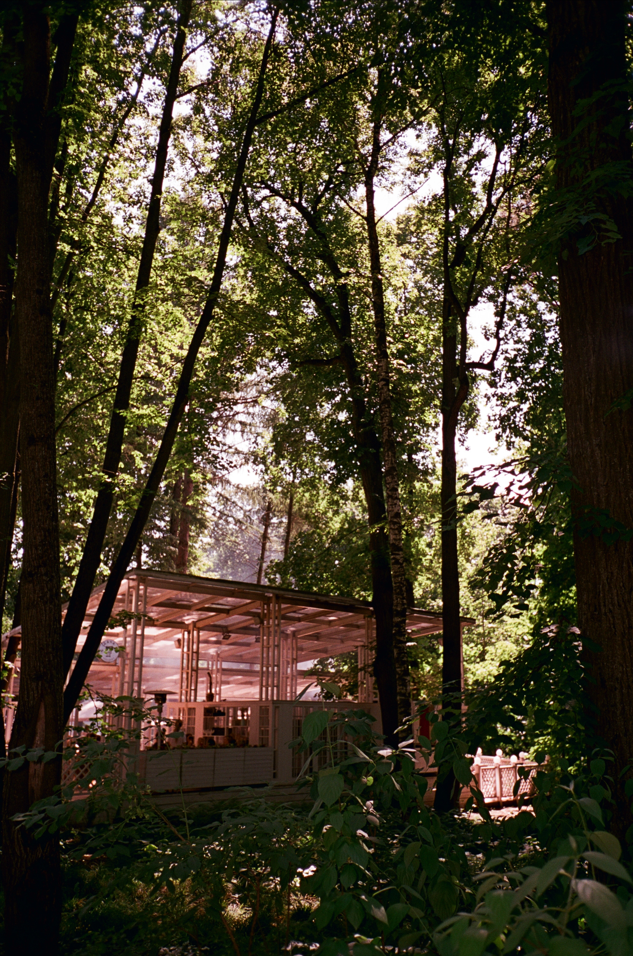 Архангельское. Лето. Июль. Фотограф-документалист Мария Осокина