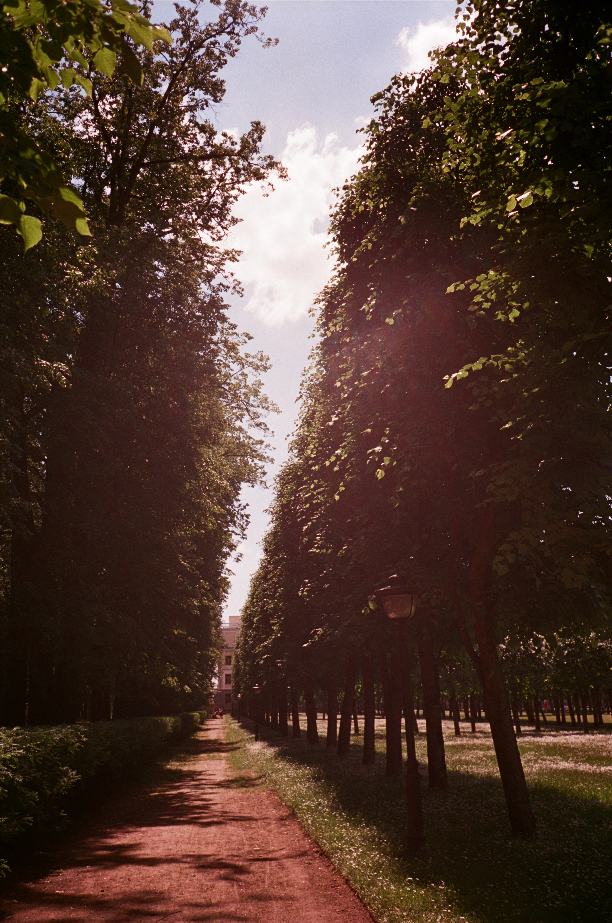 Архангельское. Лето. Июль. Фотограф-документалист Мария Осокина