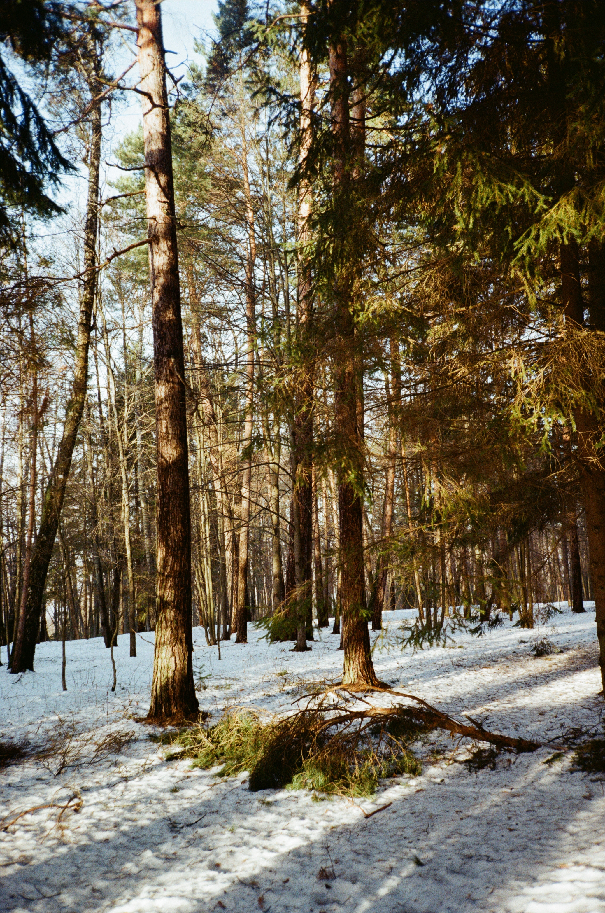 Поленово. Фотограф-документалист Мария Осокина