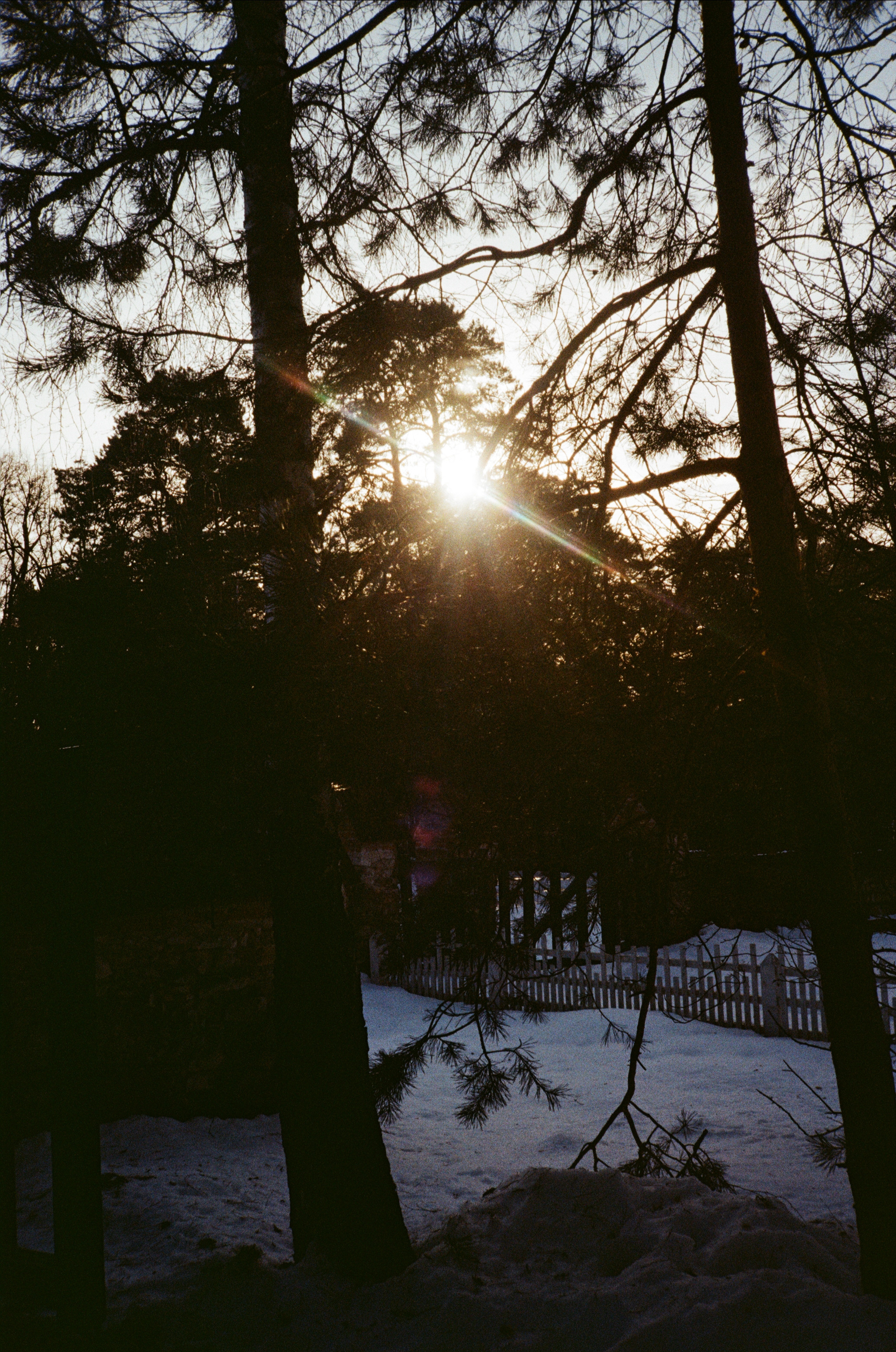 Поленово. Фотограф-документалист Мария Осокина