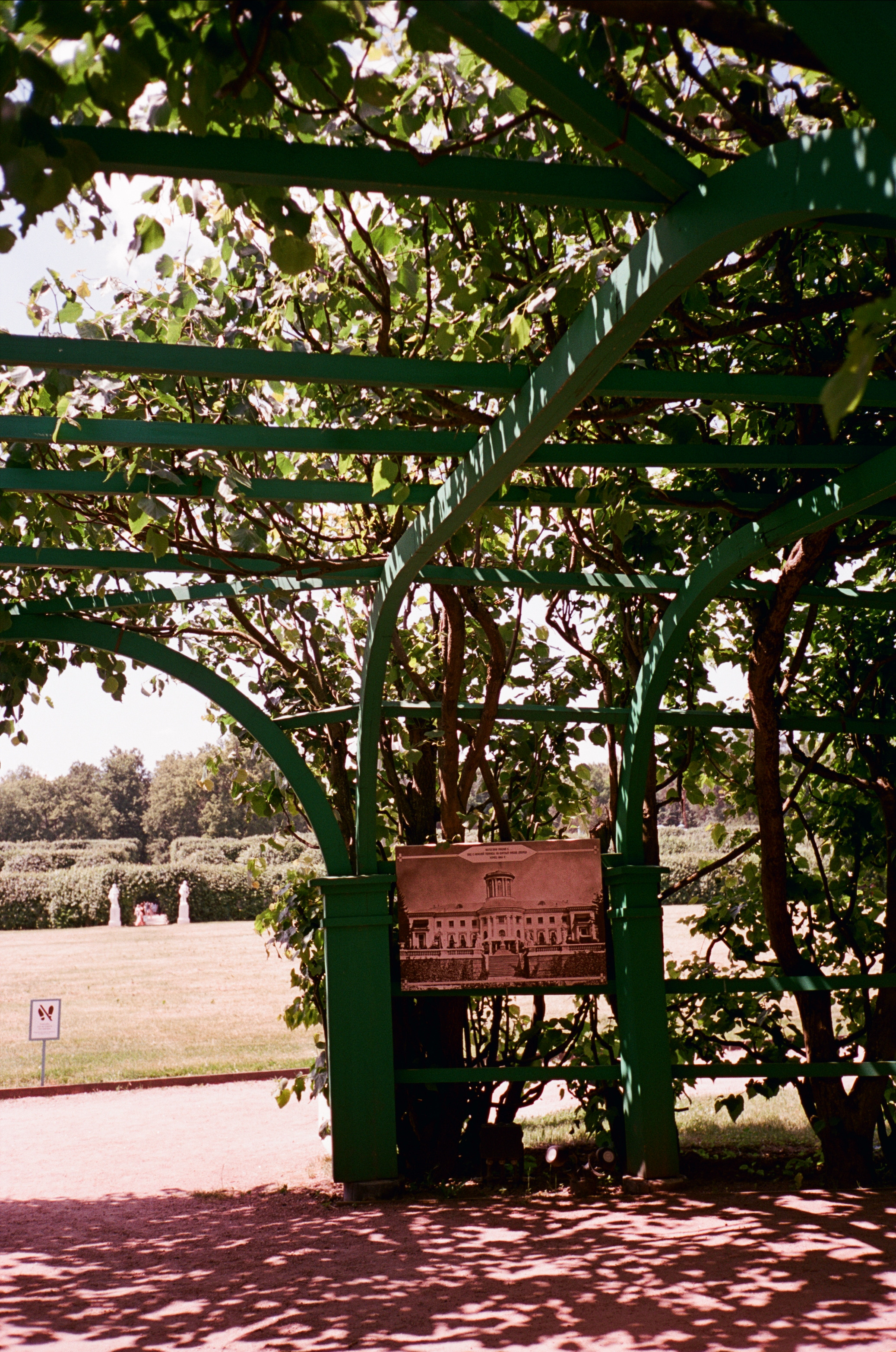 Архангельское. Лето. Июль. Фотограф-документалист Мария Осокина