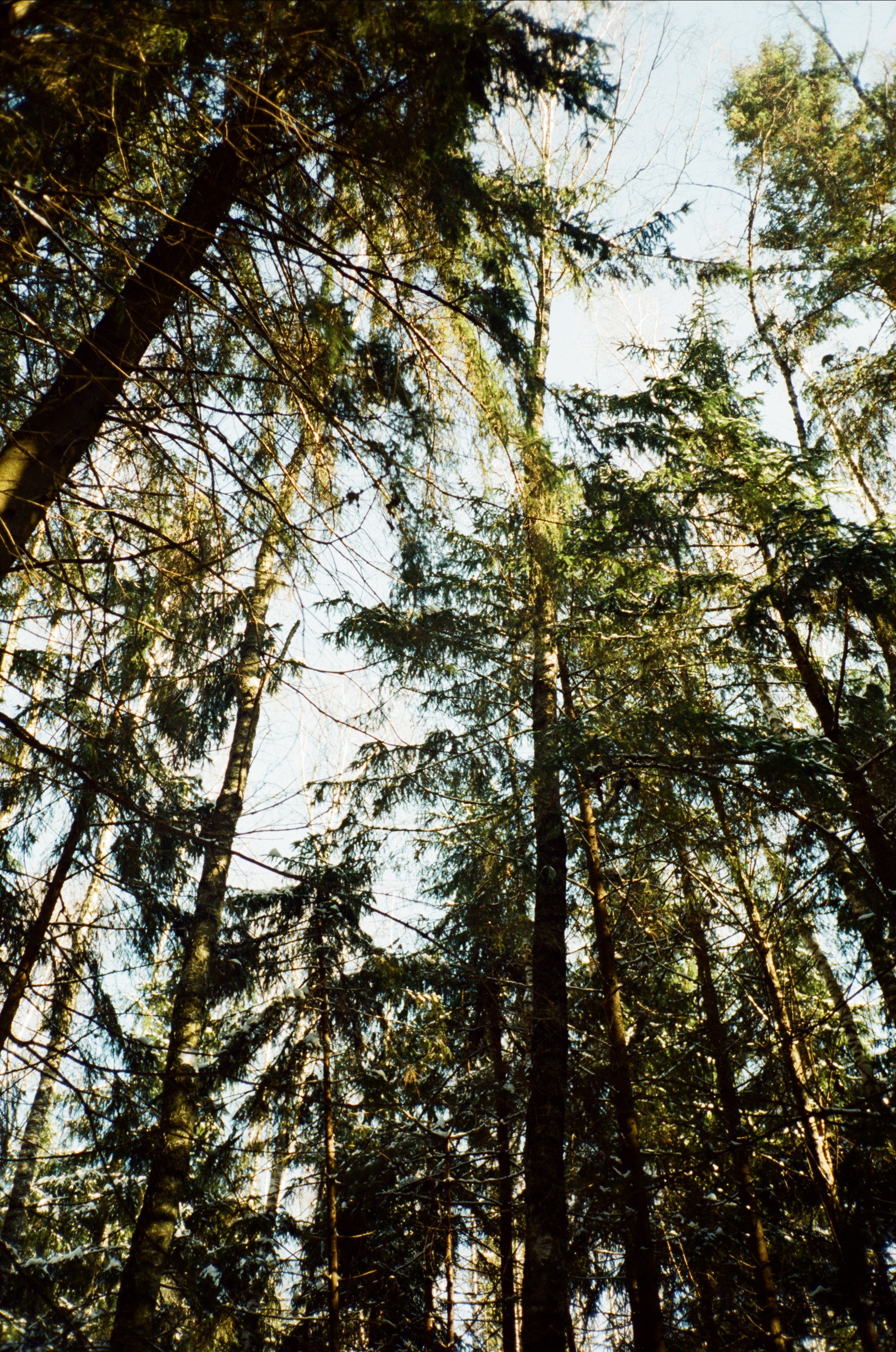 Давыдовское. Солнечный февраль. Фотограф-документалист Мария Осокина