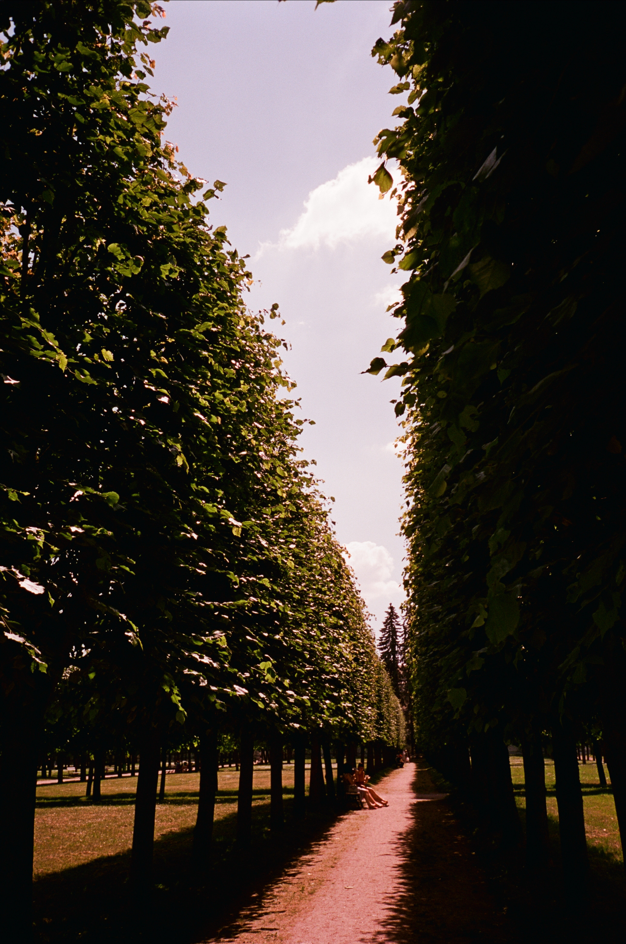 Архангельское. Лето. Июль. Фотограф-документалист Мария Осокина