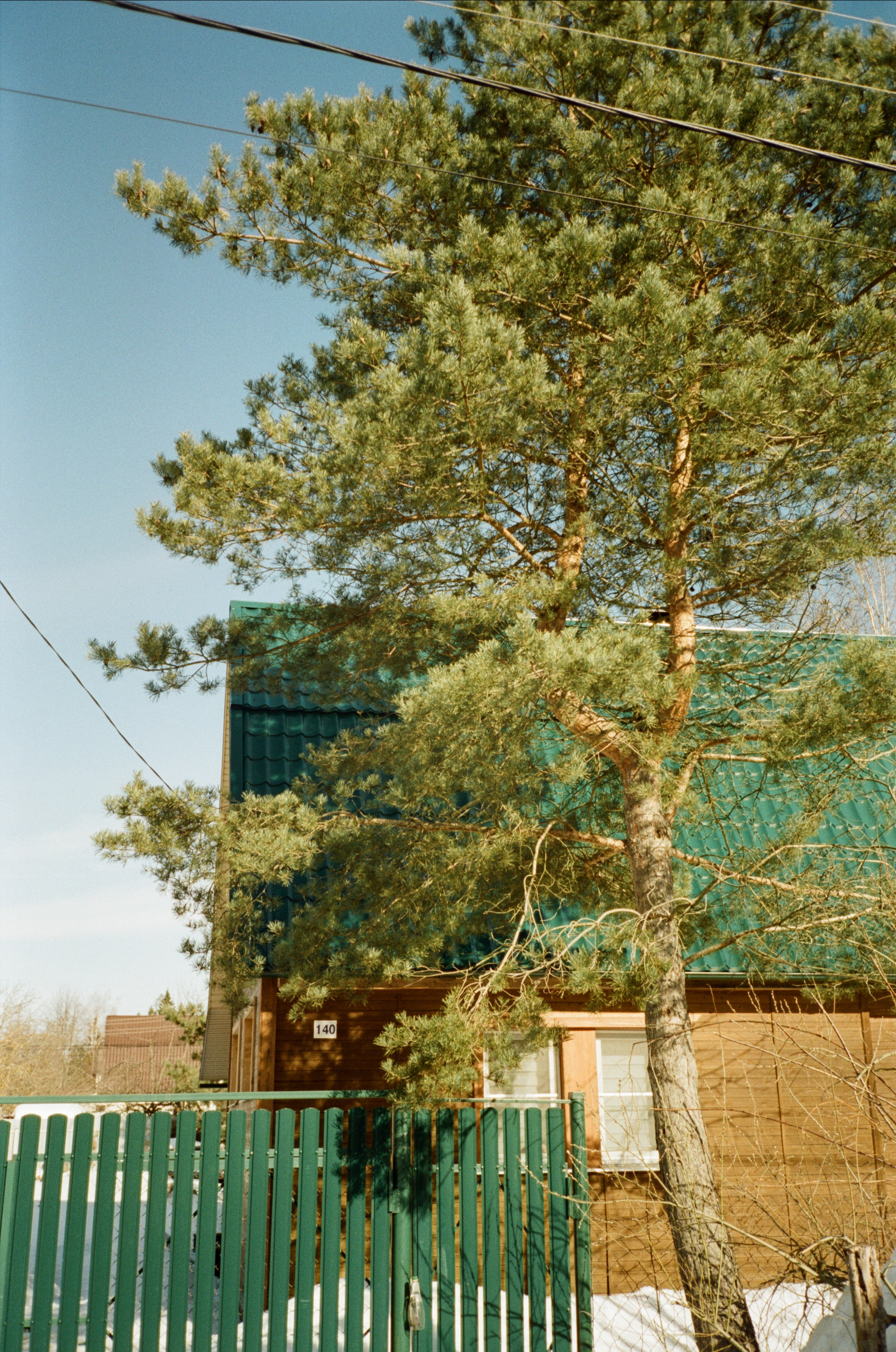 Давыдовское. Солнечный февраль. Фотограф-документалист Мария Осокина