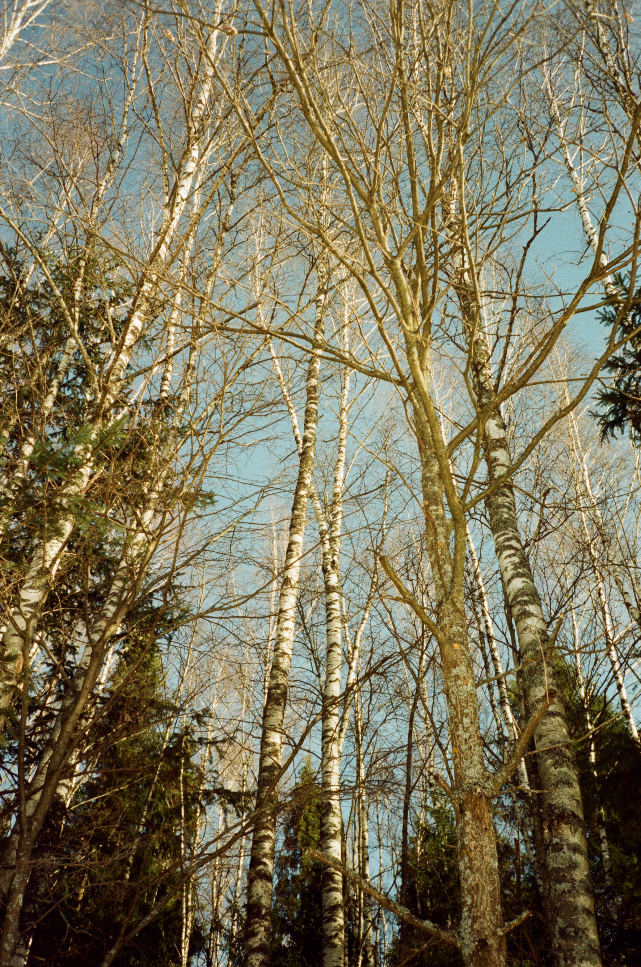 Давыдовское. Солнечный февраль. Фотограф-документалист Мария Осокина