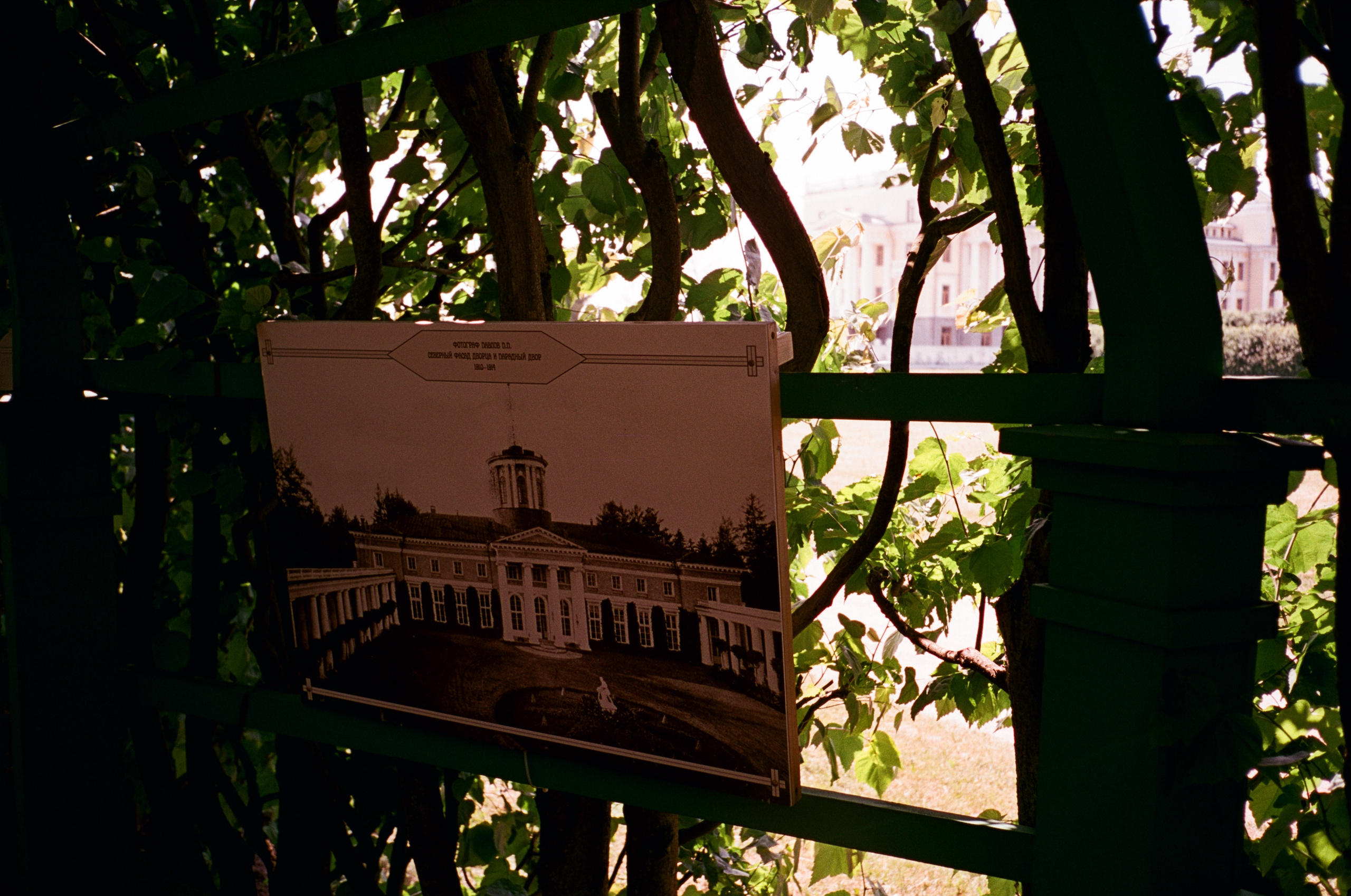 Архангельское. Лето. Июль. Фотограф-документалист Мария Осокина