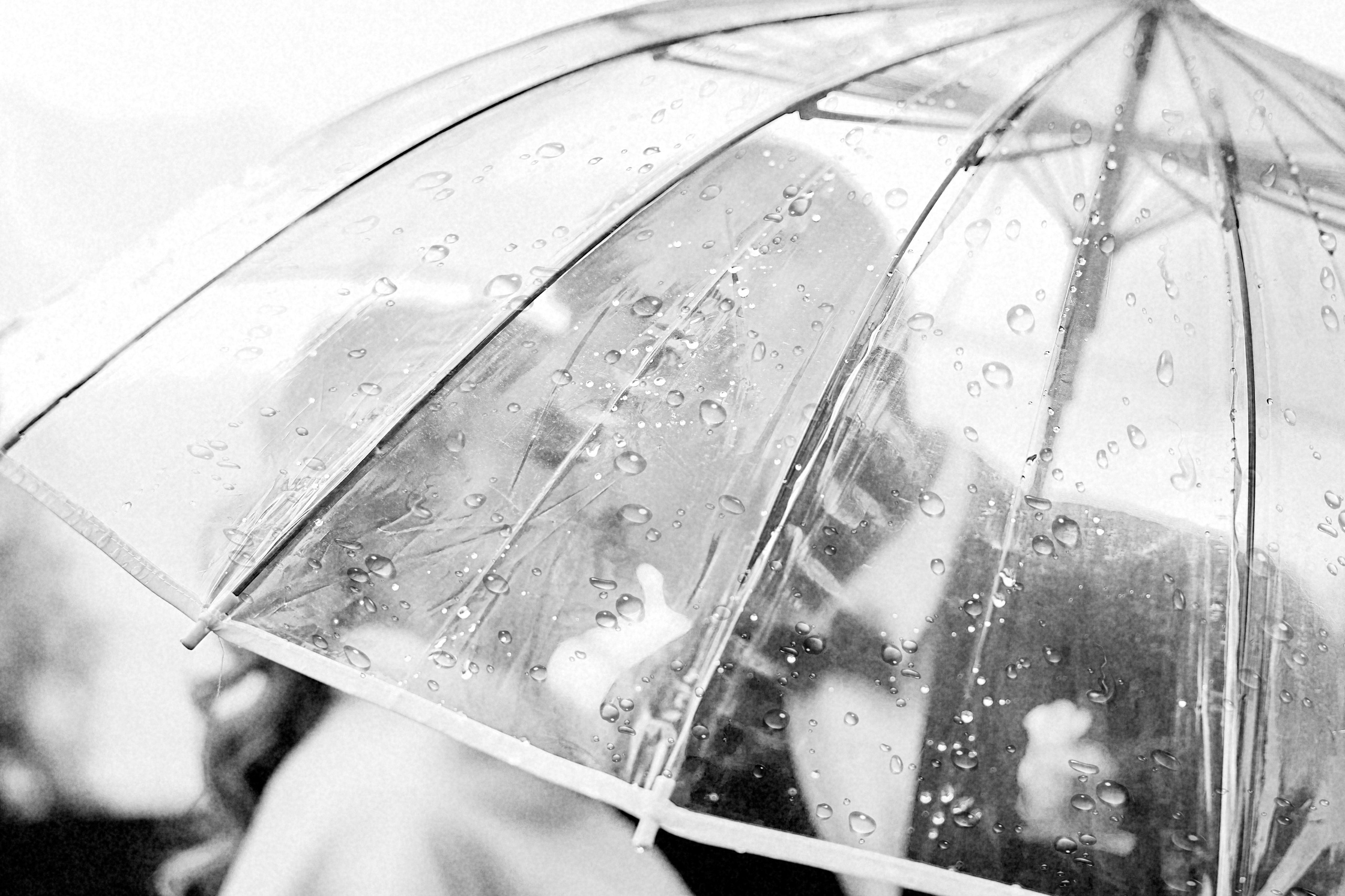 Свадьба под зонтом