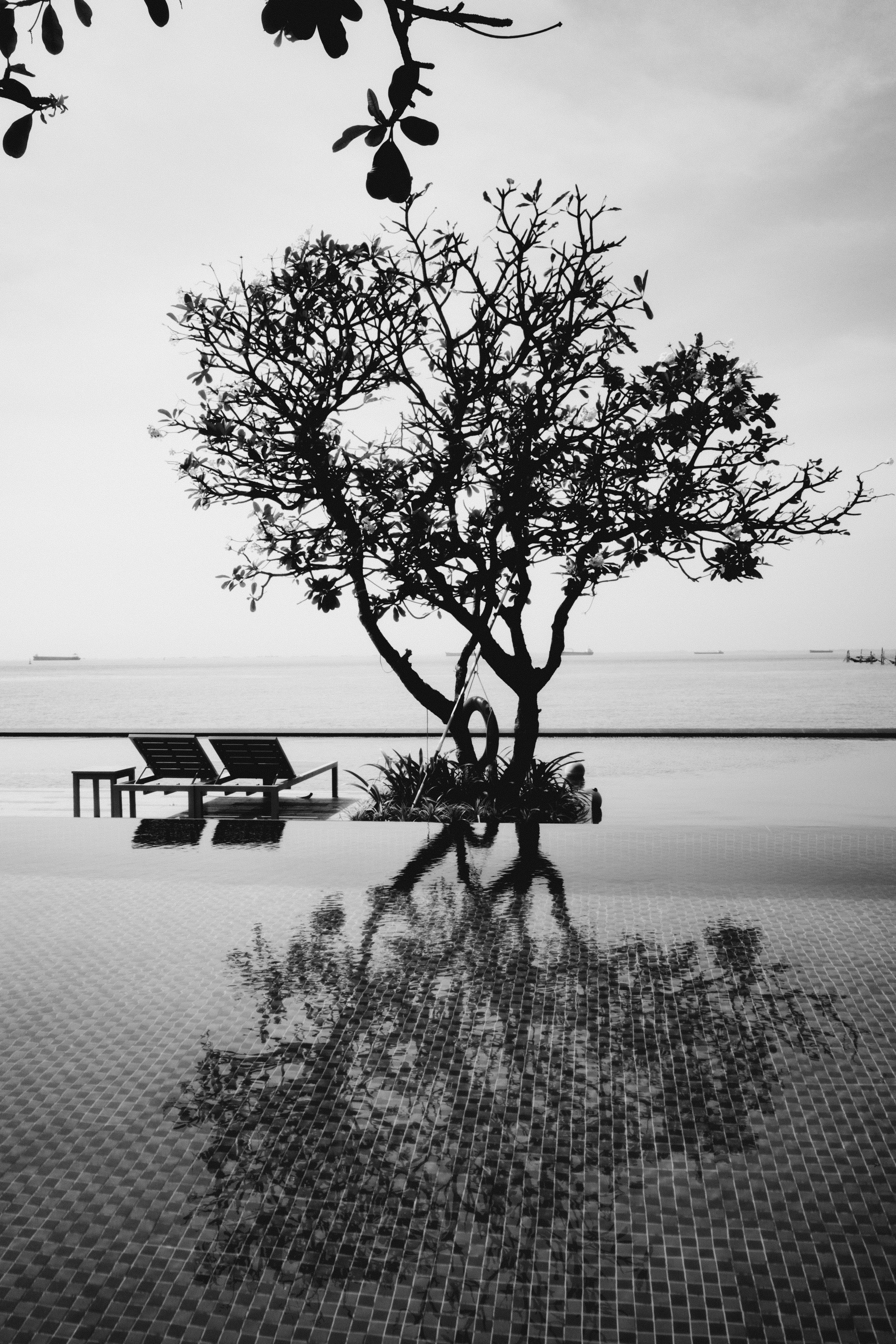 Вьетнам плёнка. Свадебный фотограф в Спб Сергей Баланян