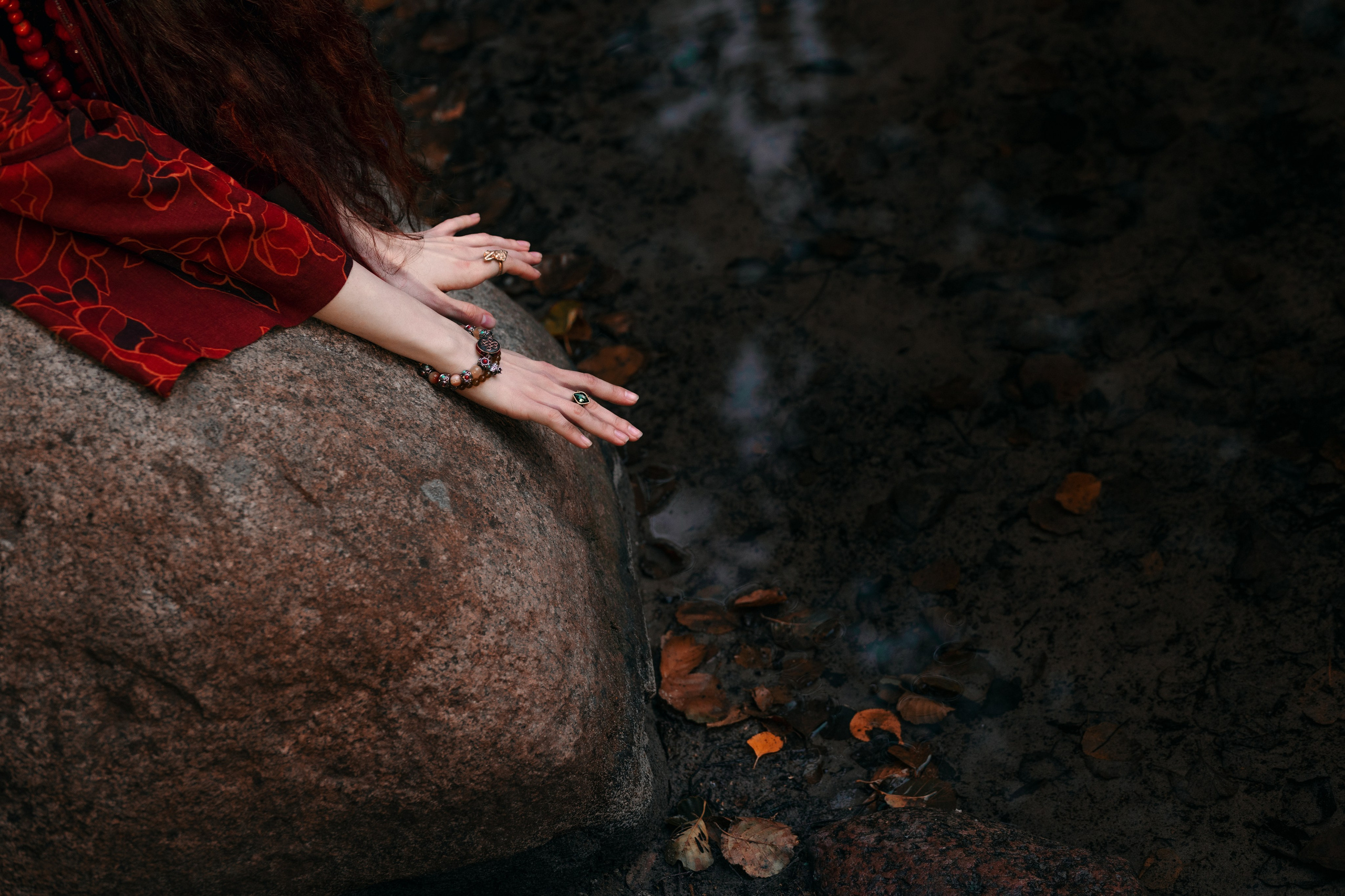 Огненная Лисица