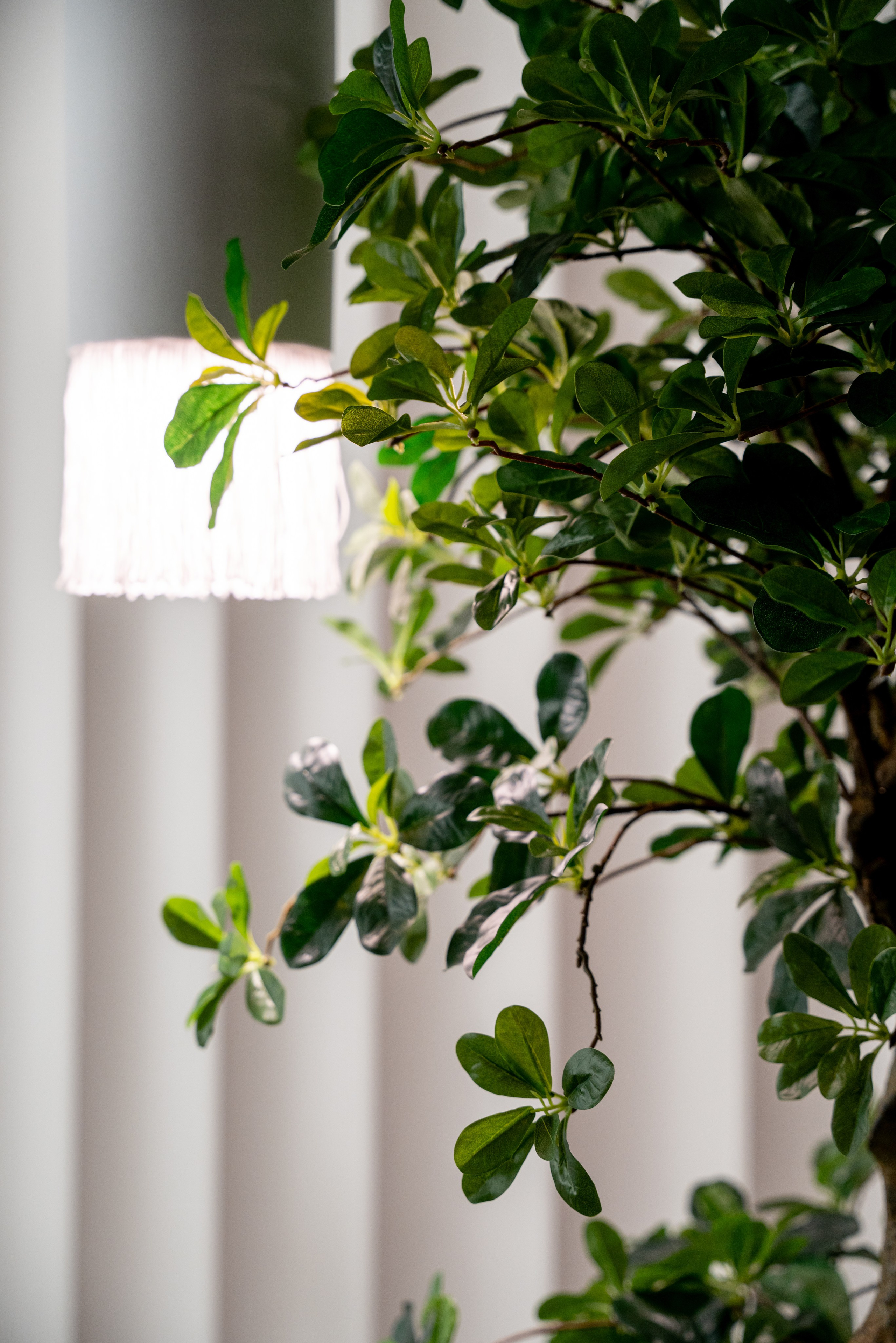 БУТА СПА. Фотограф на любое мероприятие