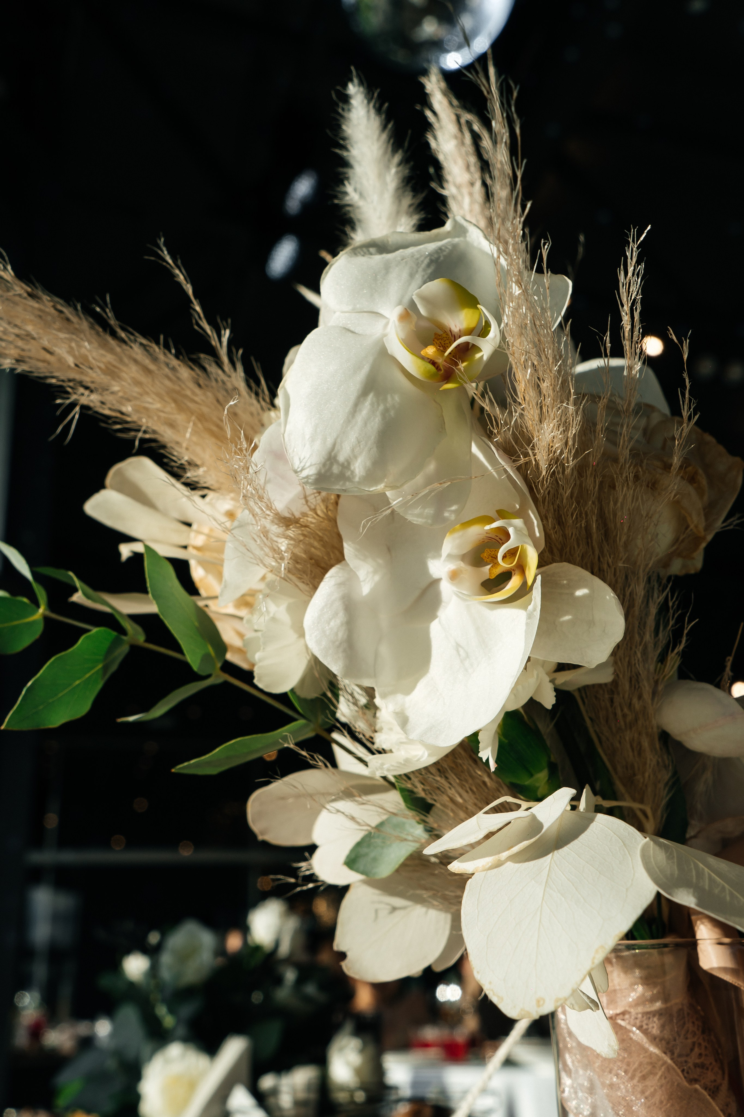 Санкт-Петербург. Свадебный фотограф-видеограф в Архангельске. Фотохудожница Lana Contra