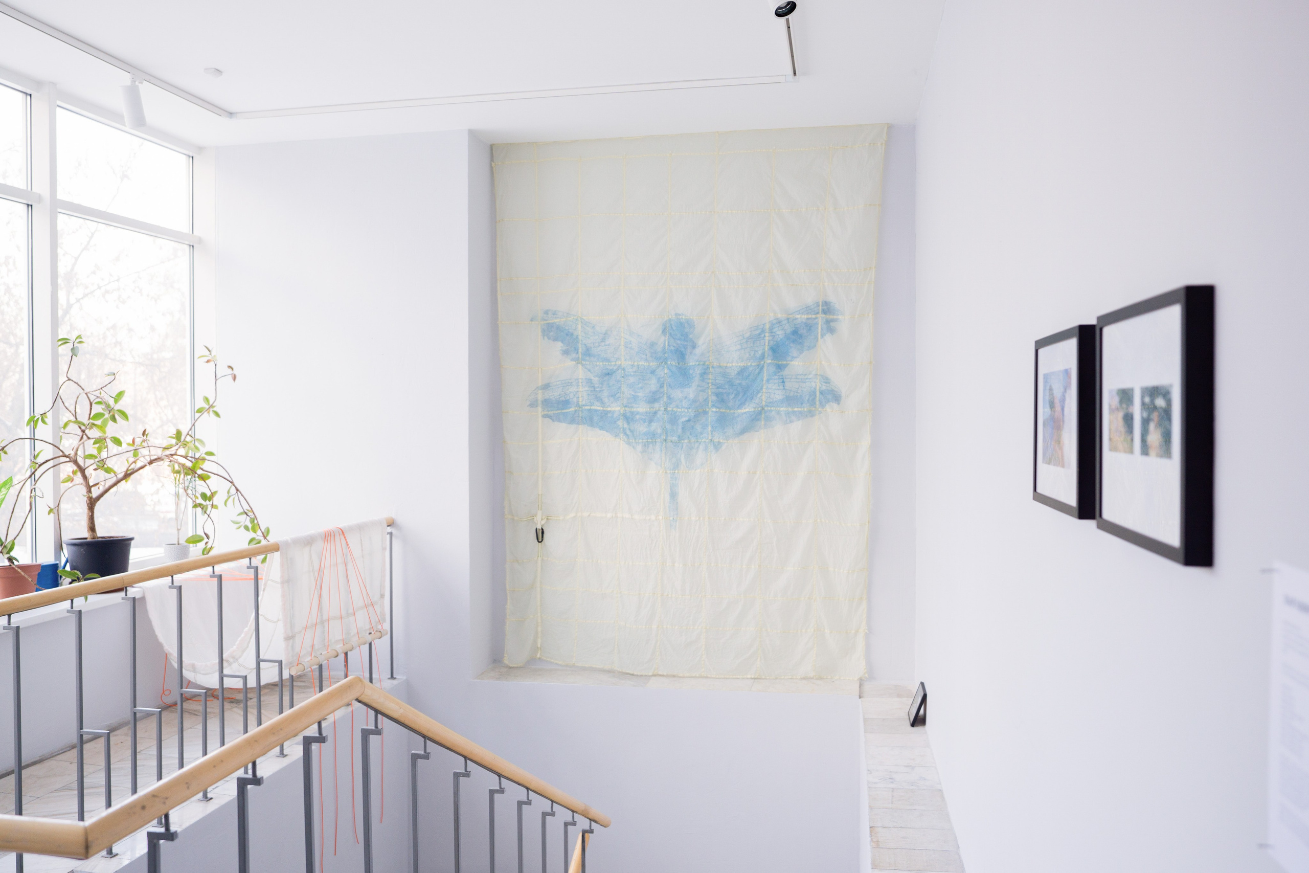 Summer nostalgie. Maria Abdullaeva