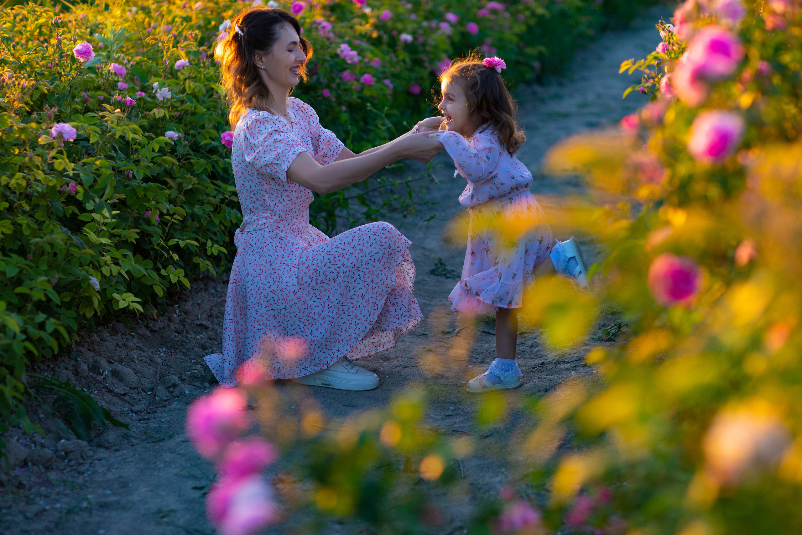 Чайная роза. Фотограф Севастополь/Крым Светлана Евтушенко