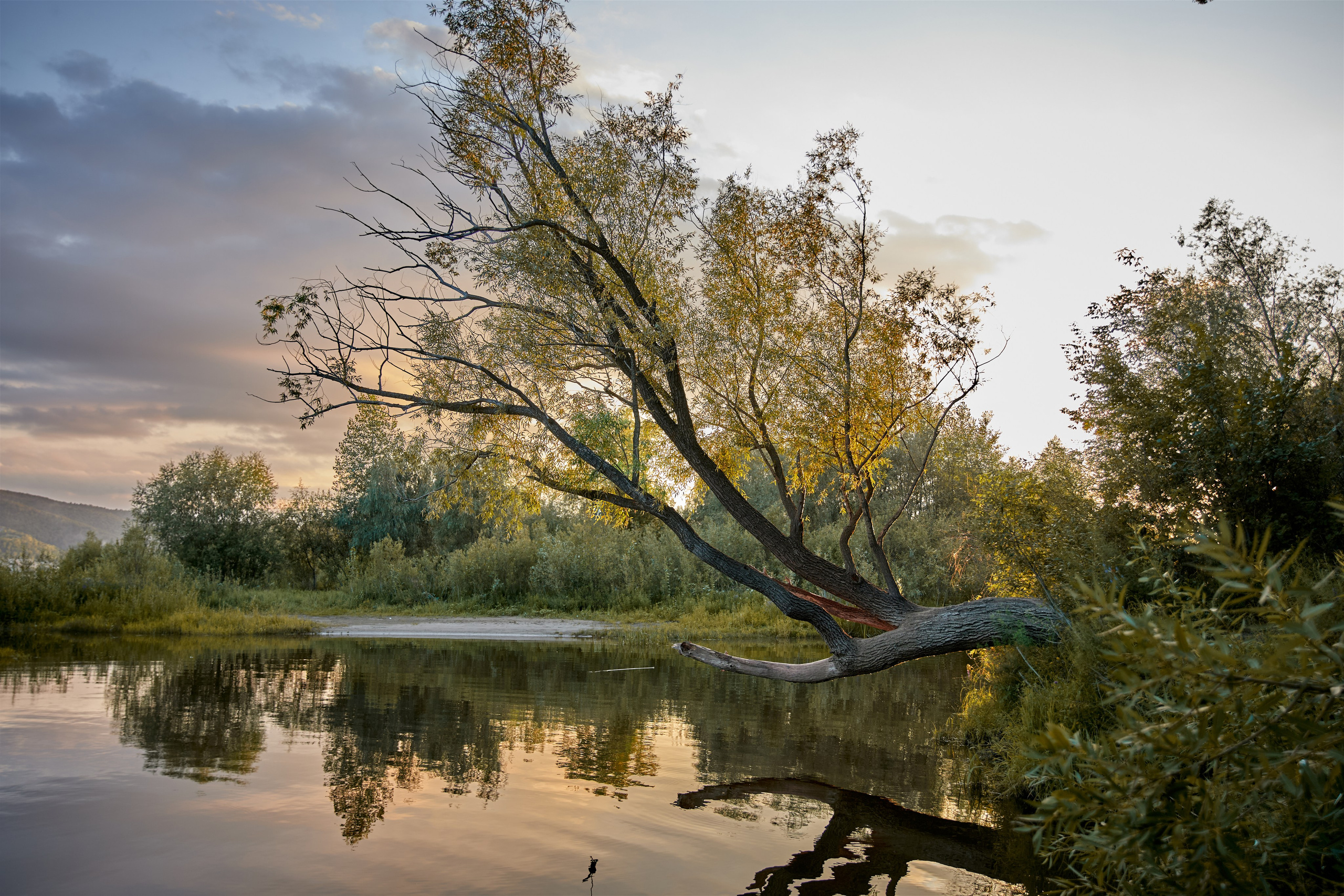 Валентина и Пряник. Фотограф в Самаре Анастасия Афанасьева