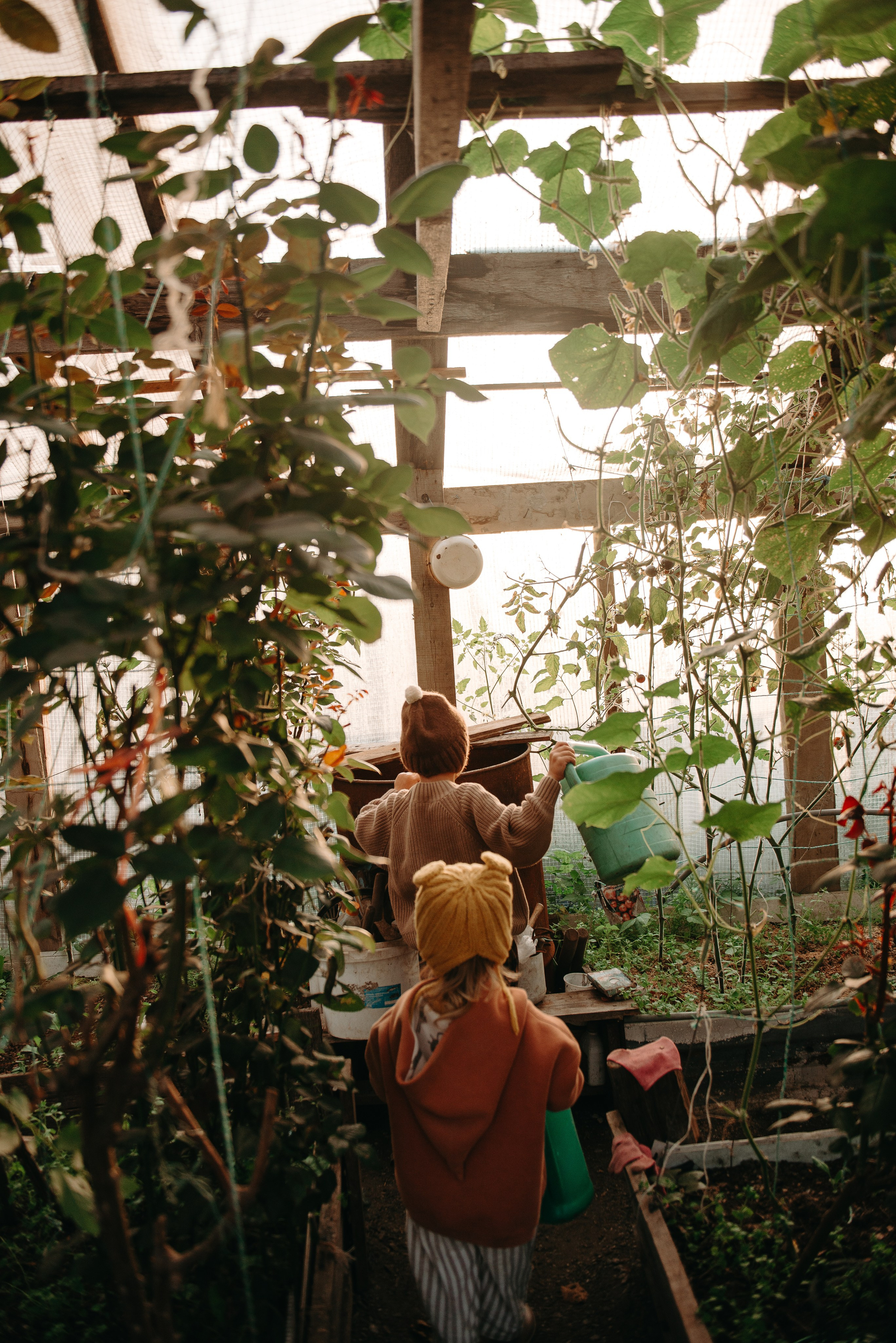 Вика, Рома и Алина. Ирина Метелица фотограф на Шикотане