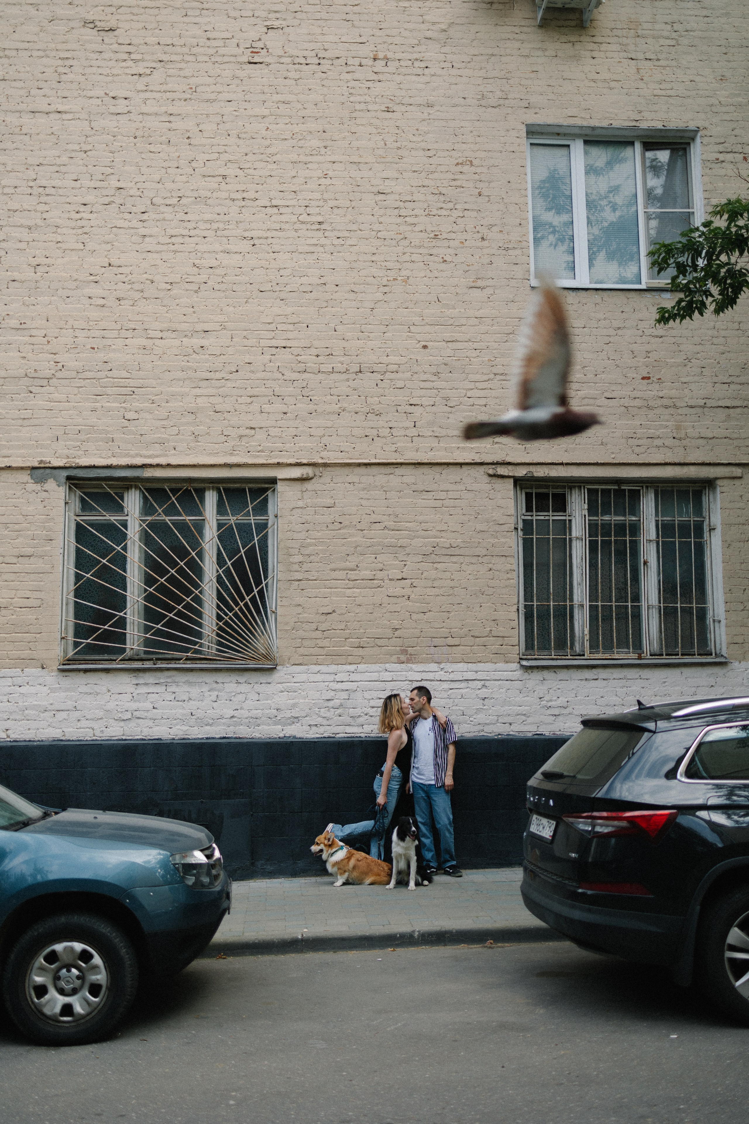 Брюс, Вейв и их ро. Фотораф — анималист Мария Шистка