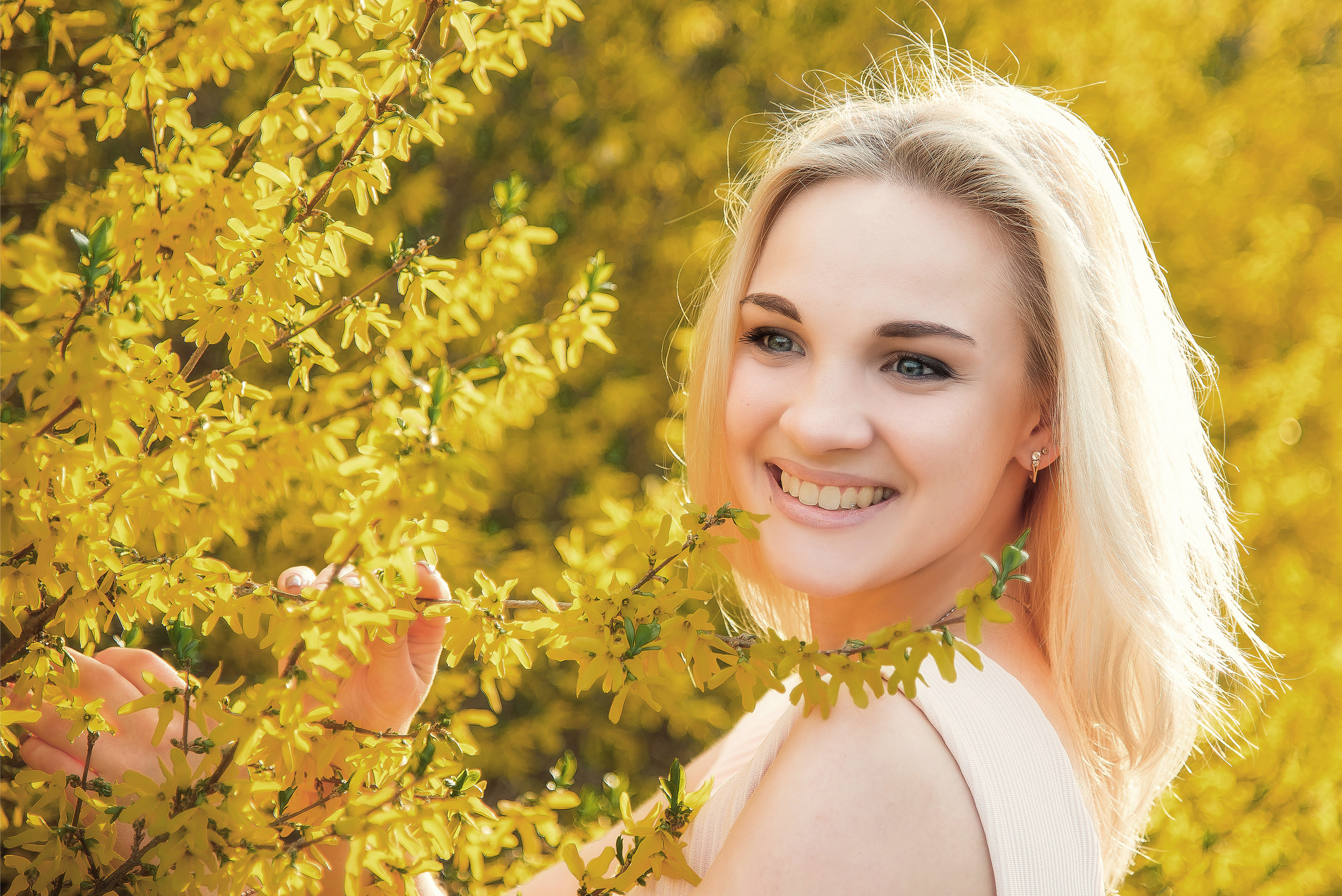 Форзиция. Фотограф Галина Лисанова, г. Брянск