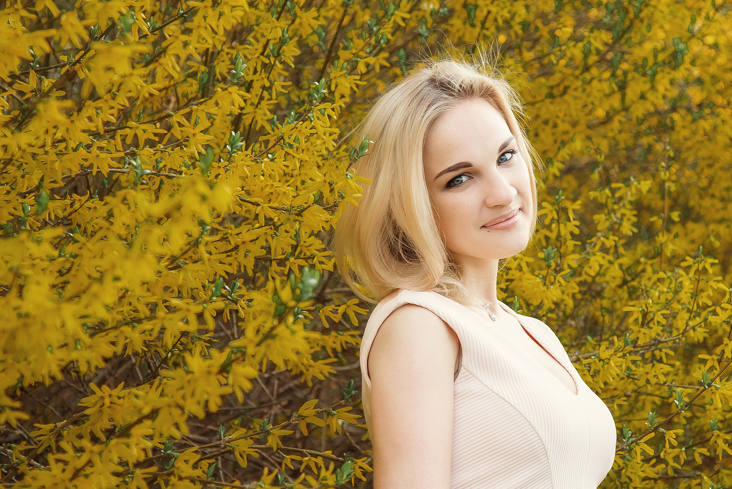 Форзиция. Фотограф Галина Лисанова, г. Брянск