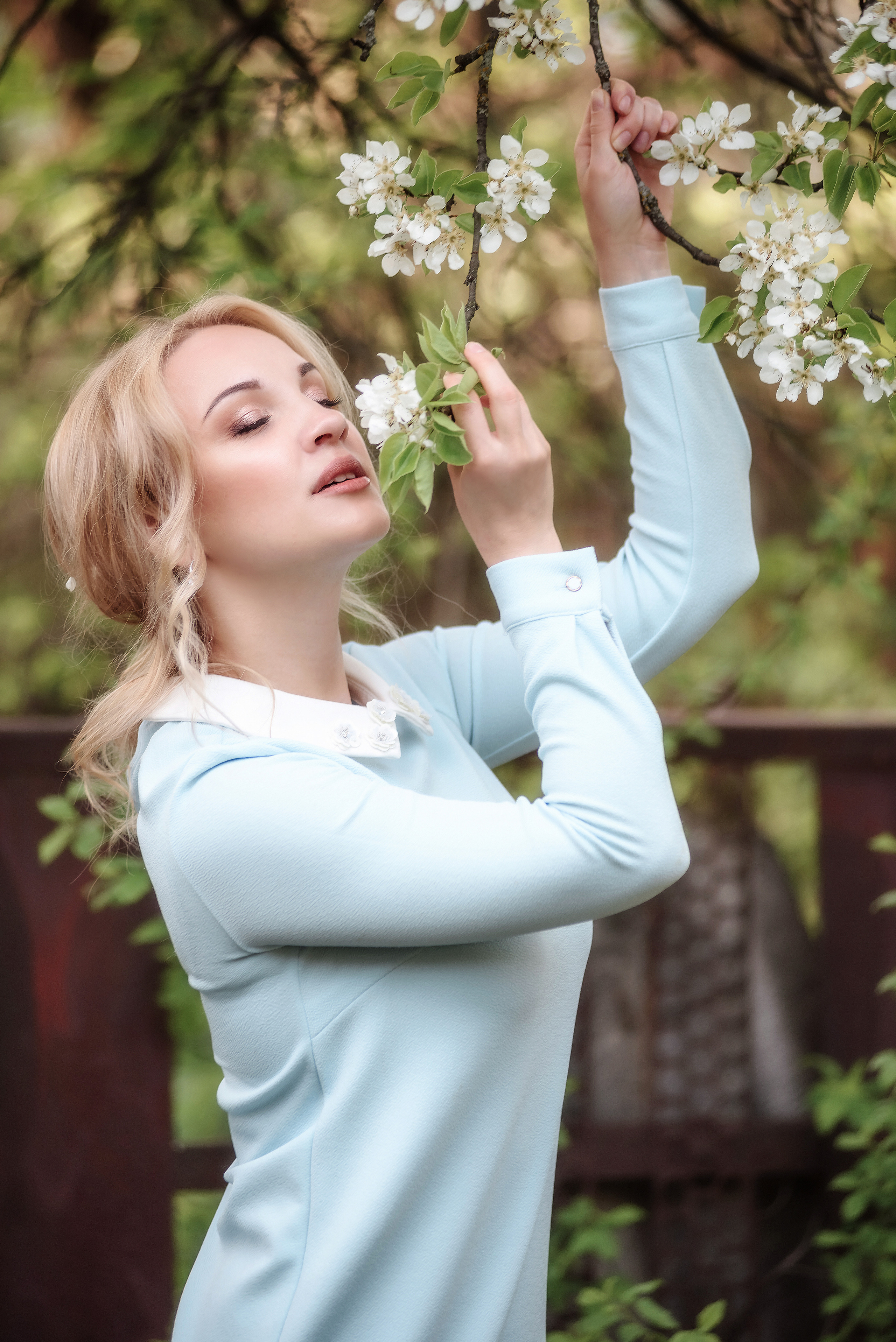 Вишня. Фотограф Галина Лисанова, г. Брянск