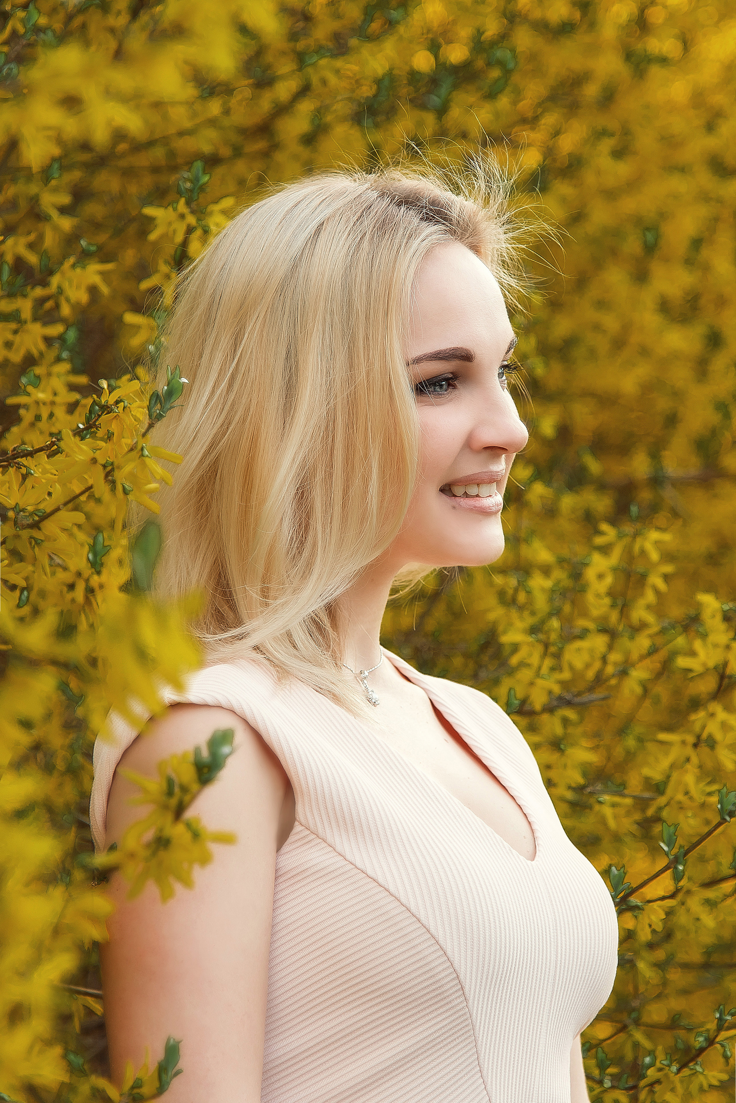 Форзиция. Фотограф Галина Лисанова, г. Брянск