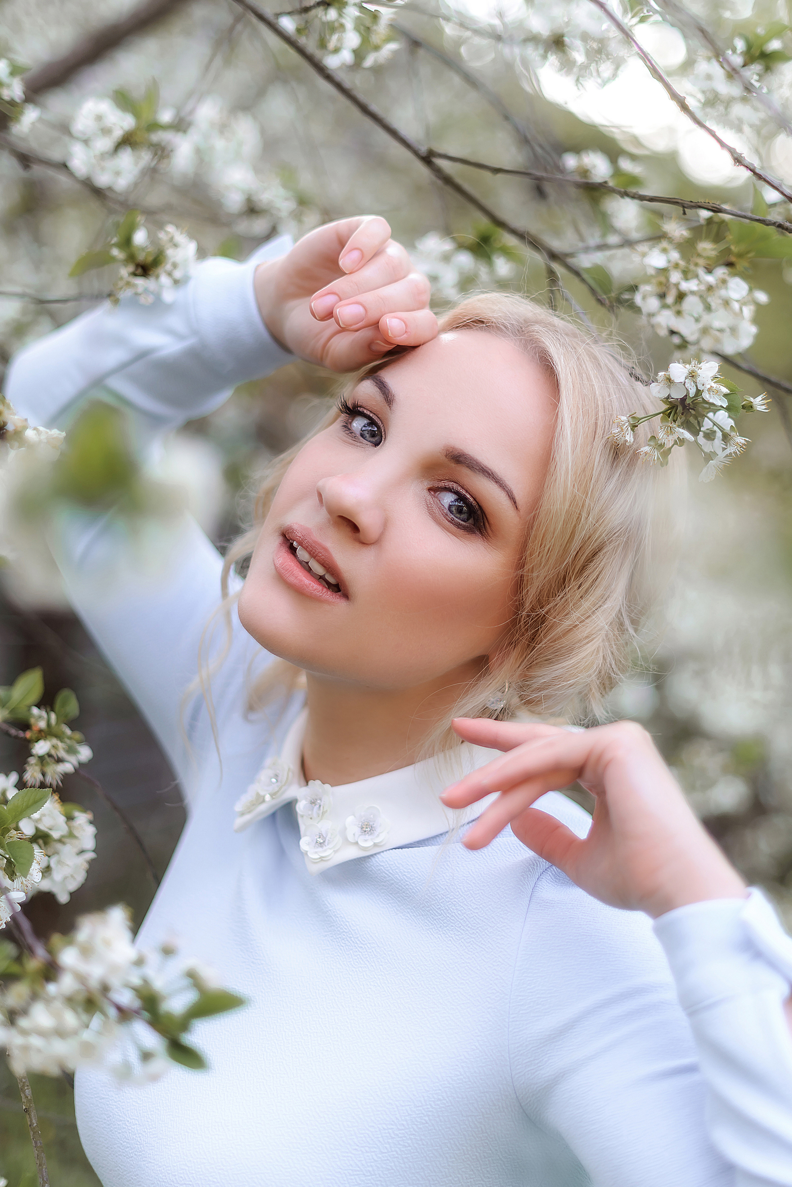 Вишня. Фотограф Галина Лисанова, г. Брянск