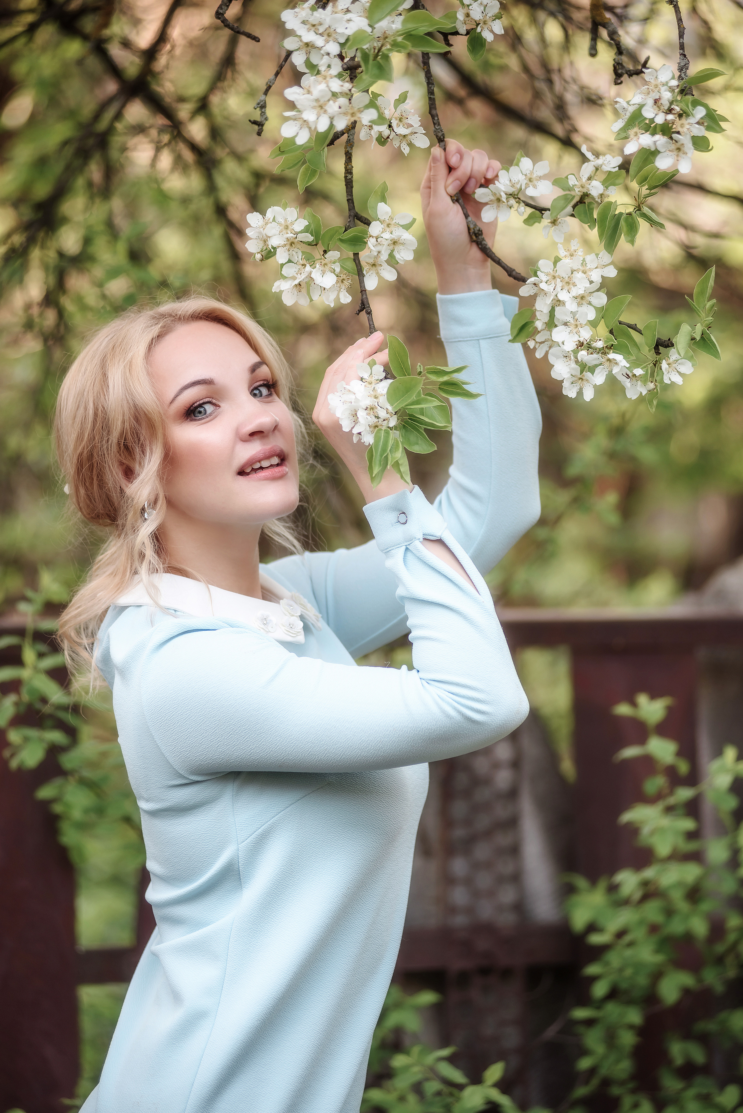 Вишня. Фотограф Галина Лисанова, г. Брянск