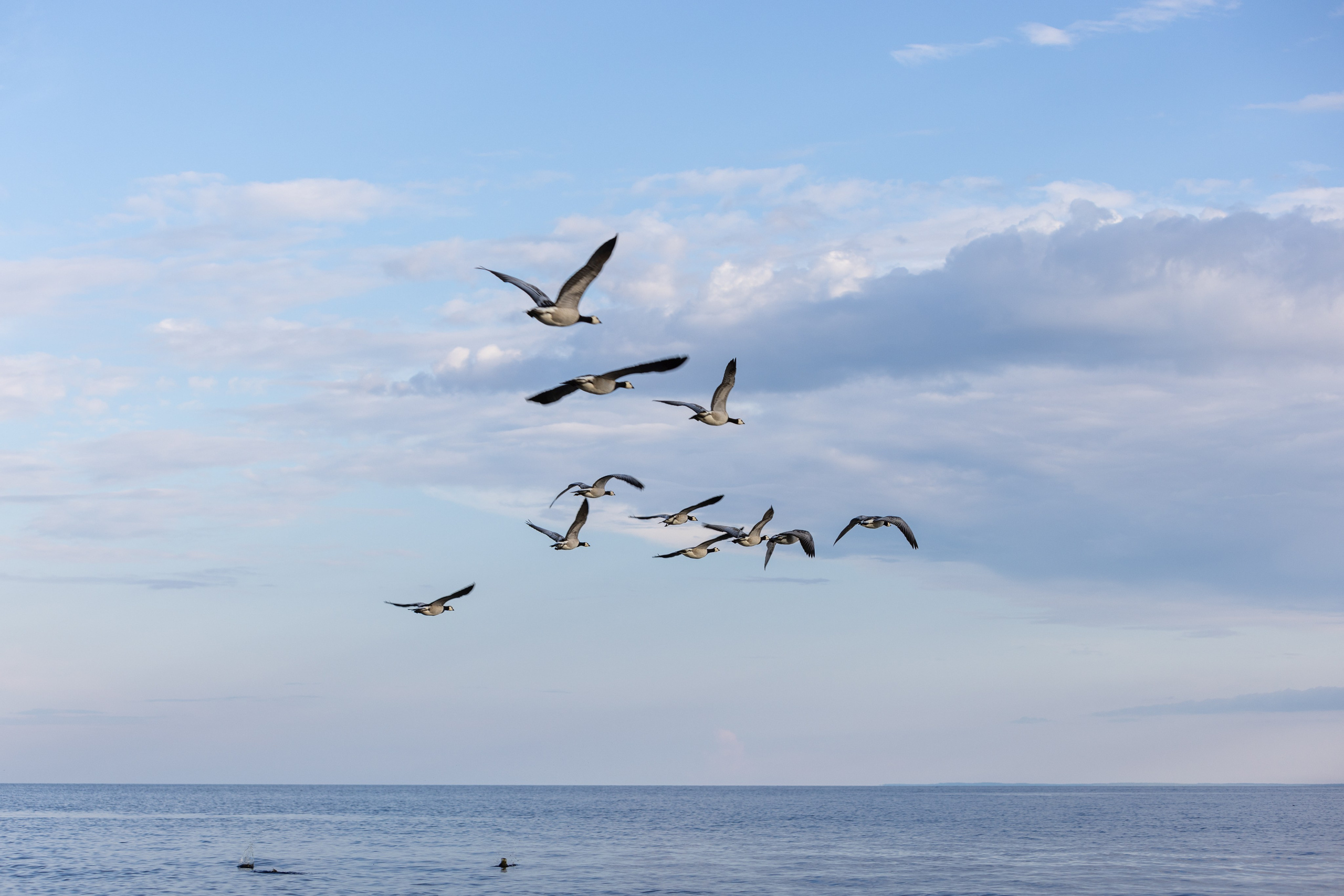 Ладога. Автомобильная фотография в Санкт-Петербурге