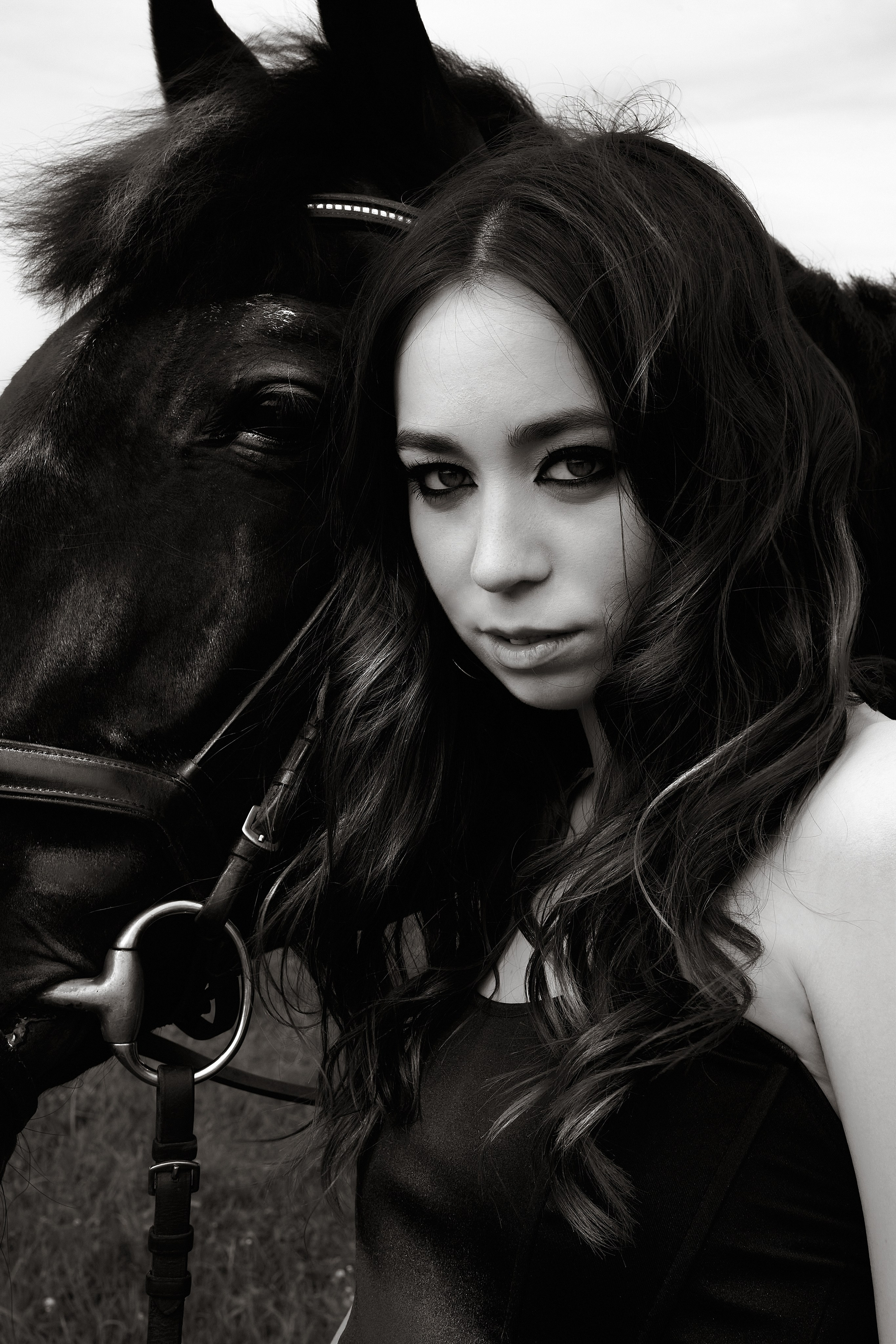 The black horse. Фотограф Надежда Куксина