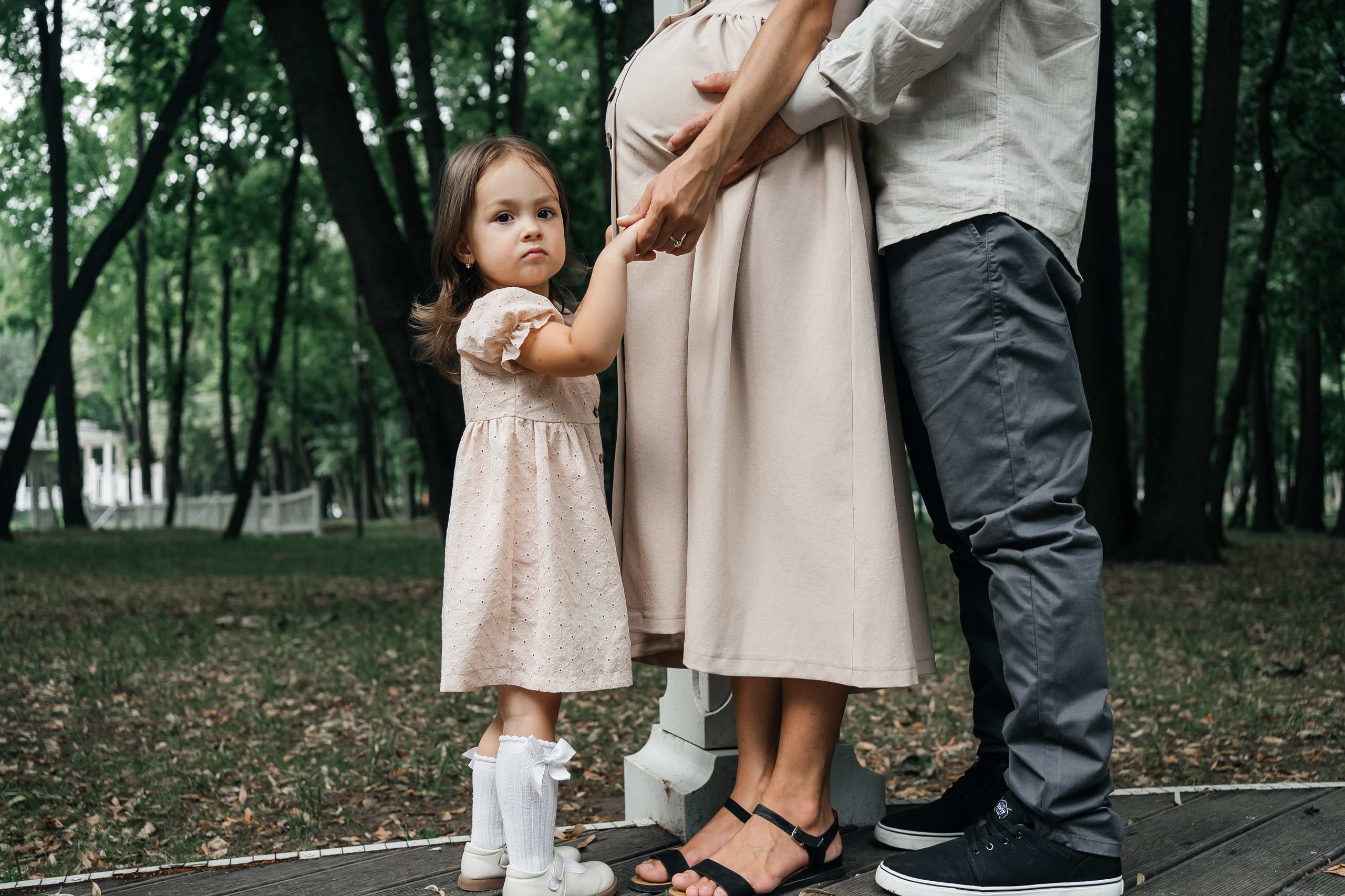 Абиша и Илья