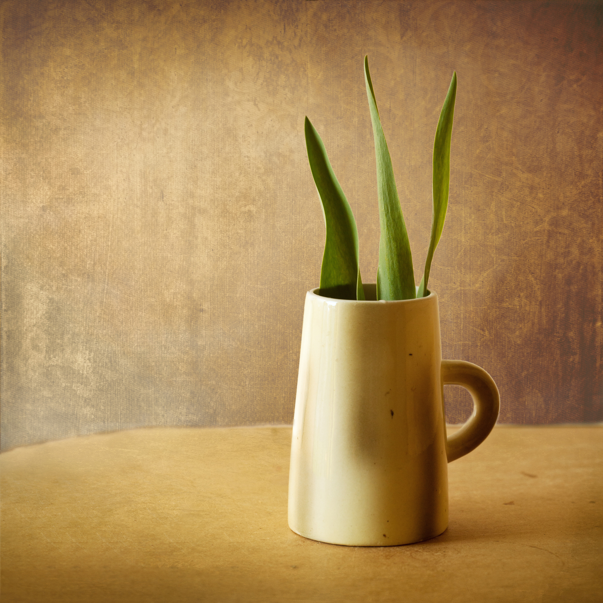 МИНИМАЛИЗМ. Фотограф в Москве Татьяна Макотра