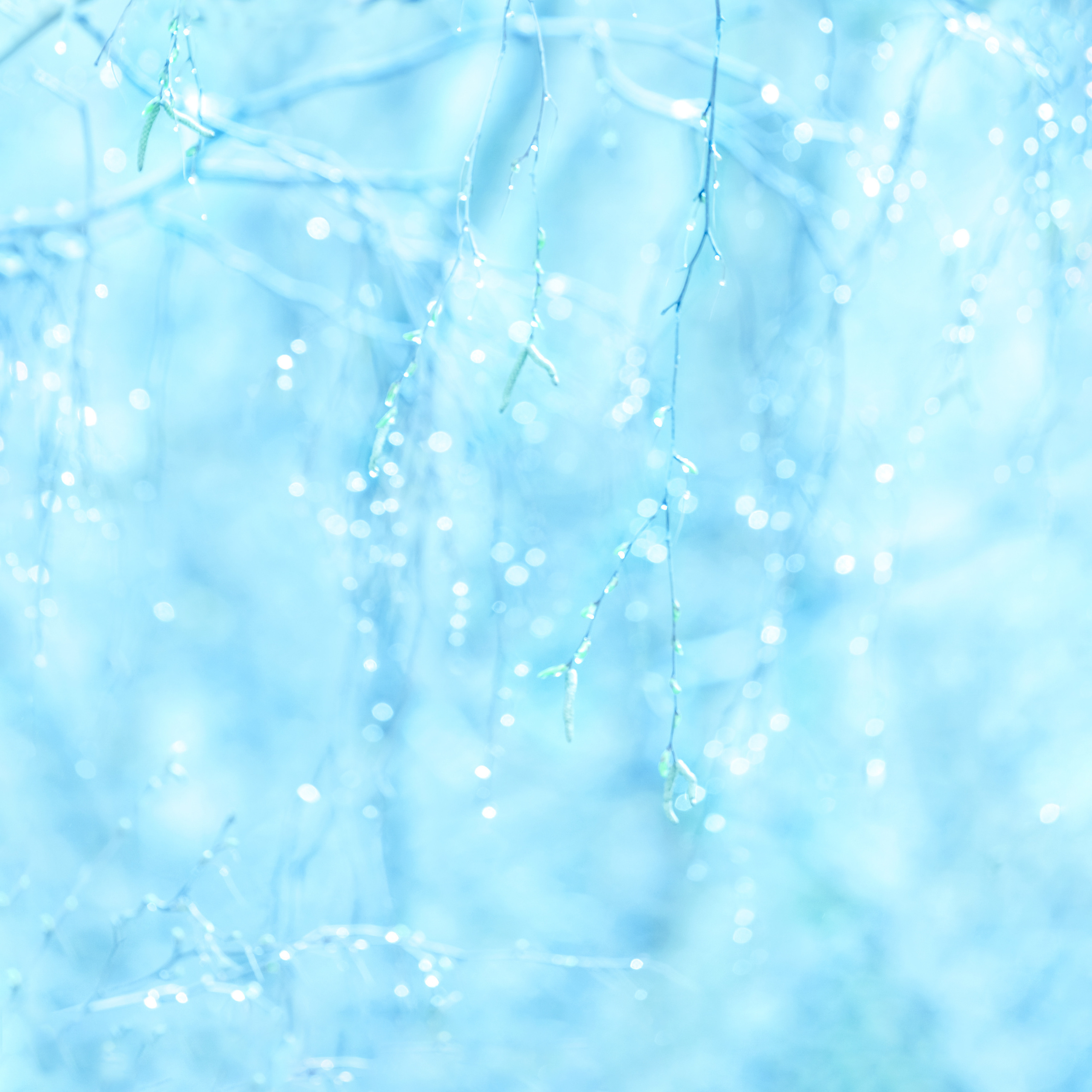 МИНИМАЛИЗМ. Фотограф в Москве Татьяна Макотра