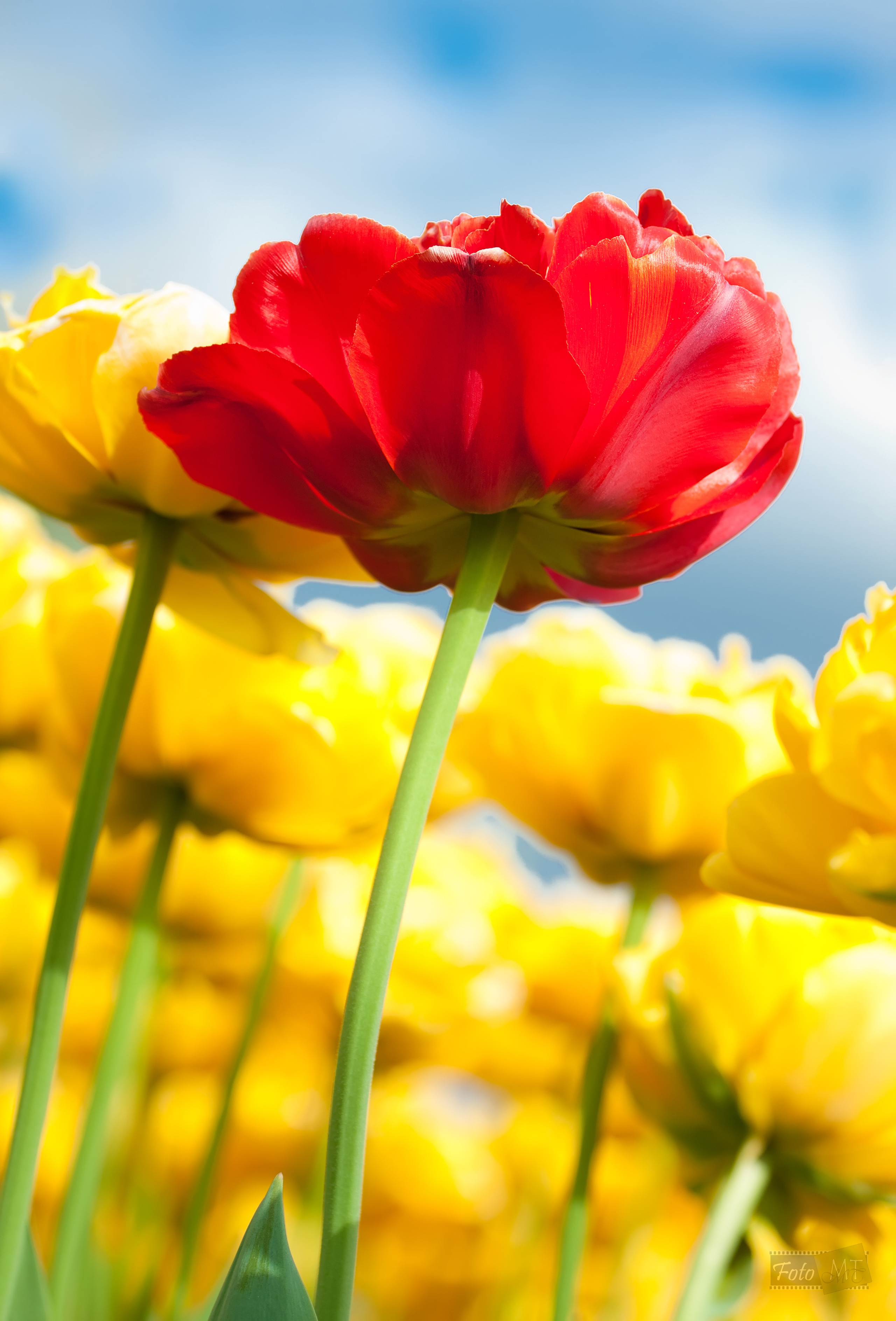 Выставка 2012. Фотограф в Москве Татьяна Макотра