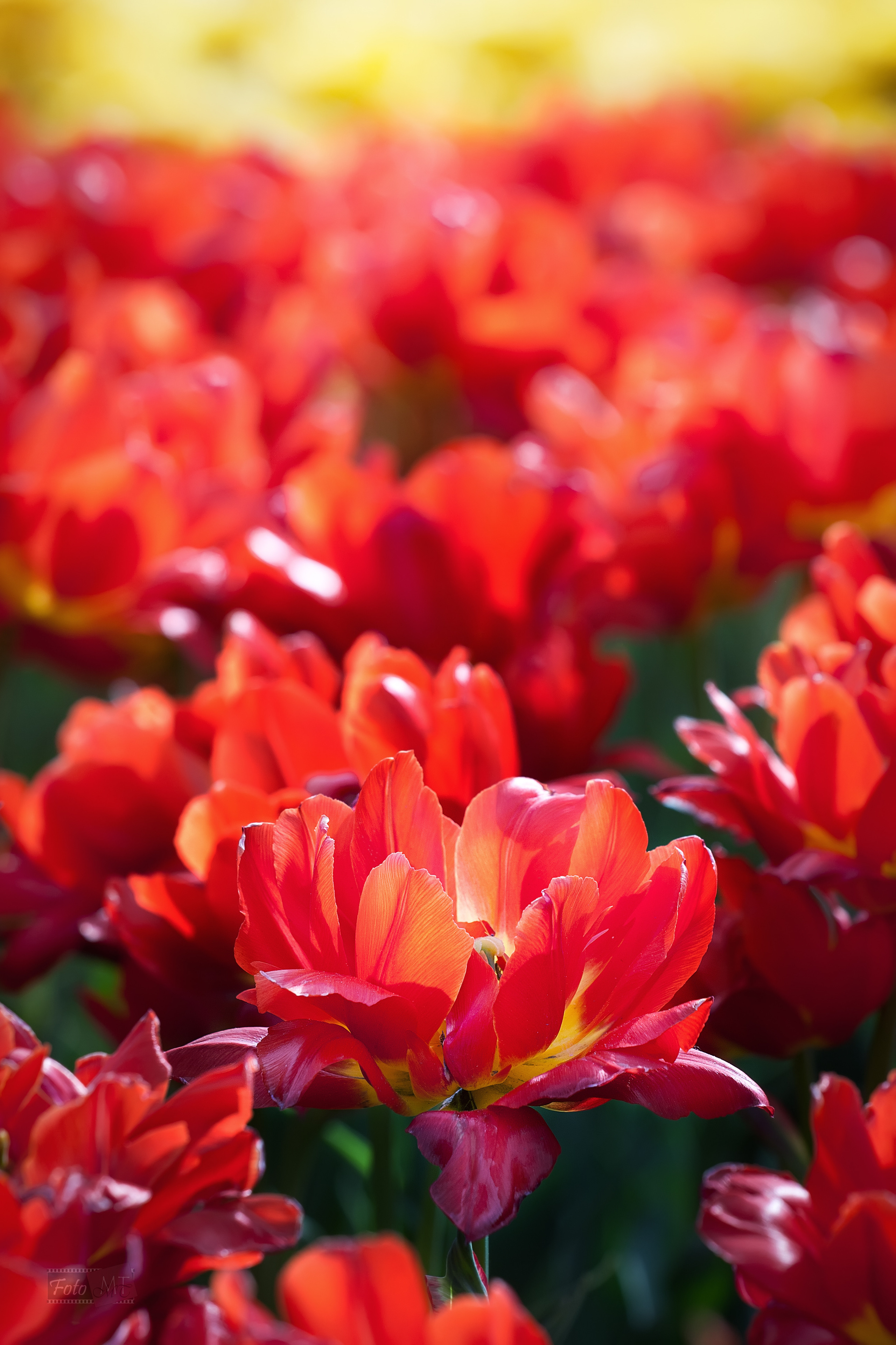 Выставка 2012. Фотограф в Москве Татьяна Макотра