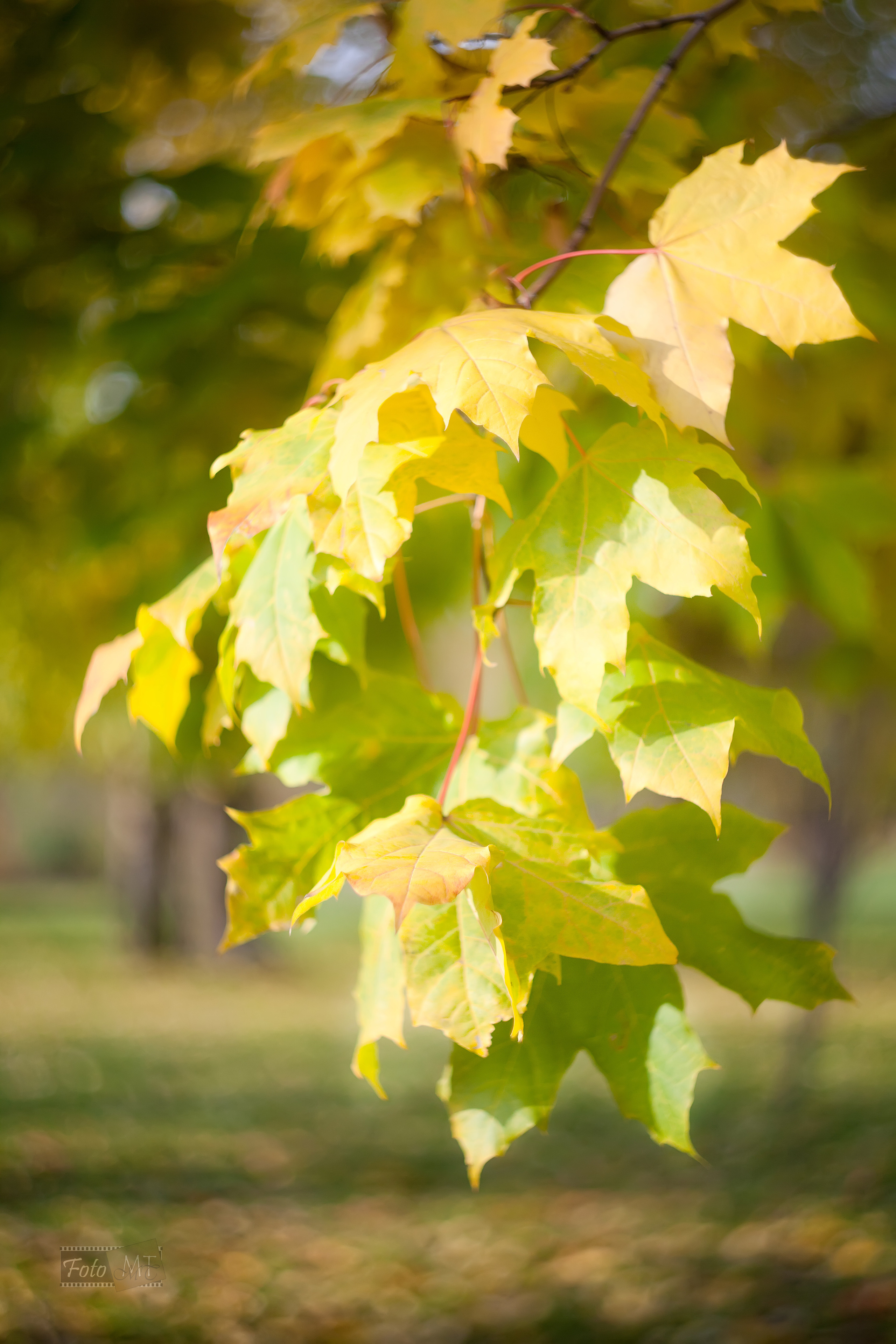 Выставка 2012. Фотограф в Москве Татьяна Макотра