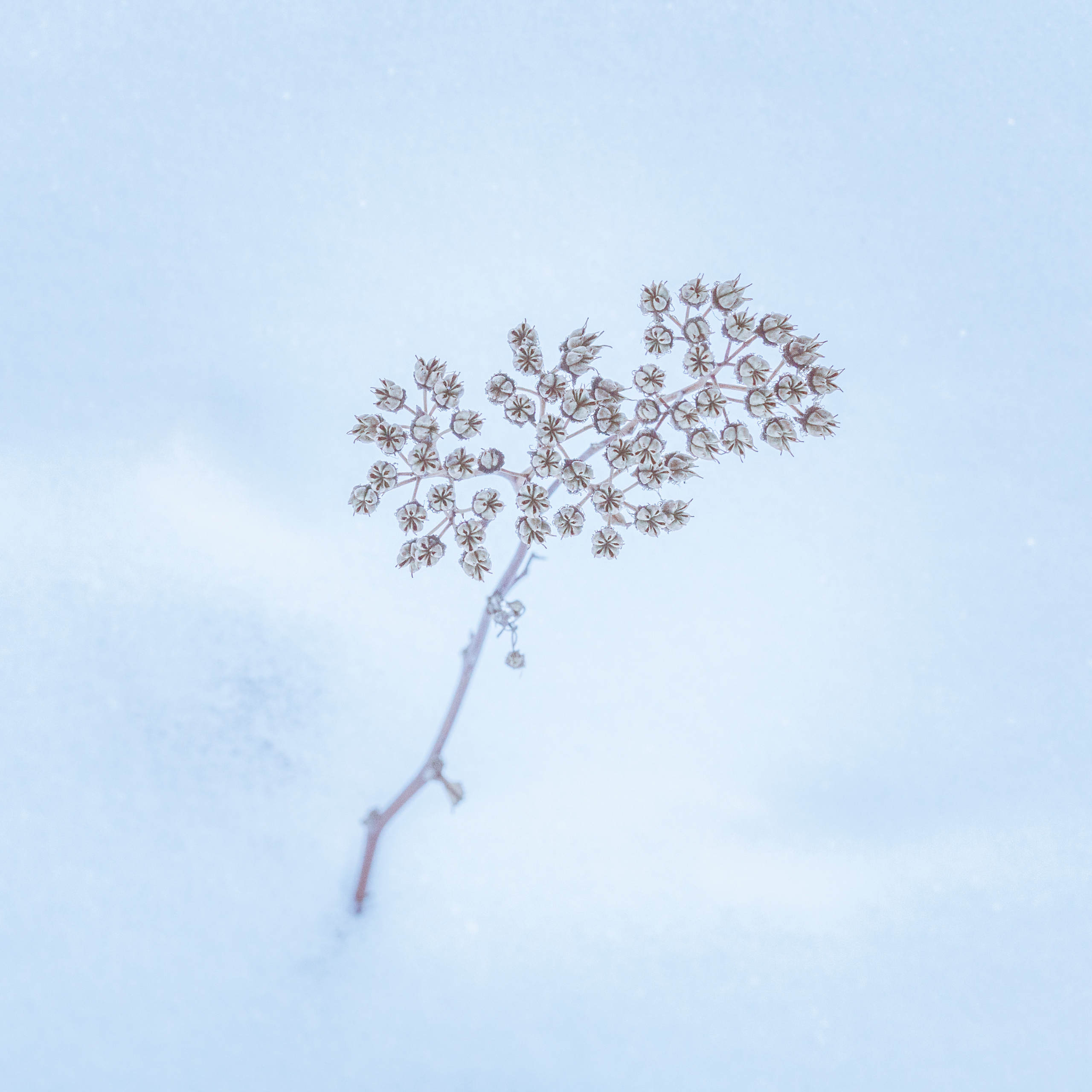 МИНИМАЛИЗМ. Фотограф в Москве Татьяна Макотра