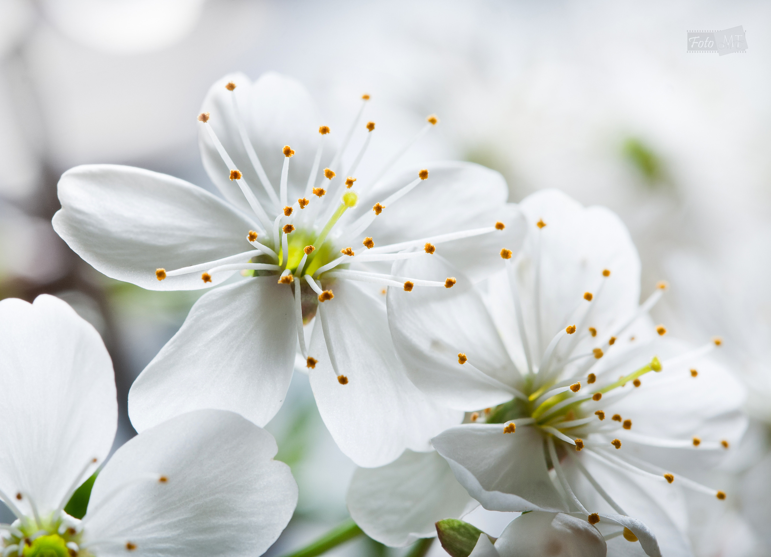 Выставка 2012. Фотограф в Москве Татьяна Макотра