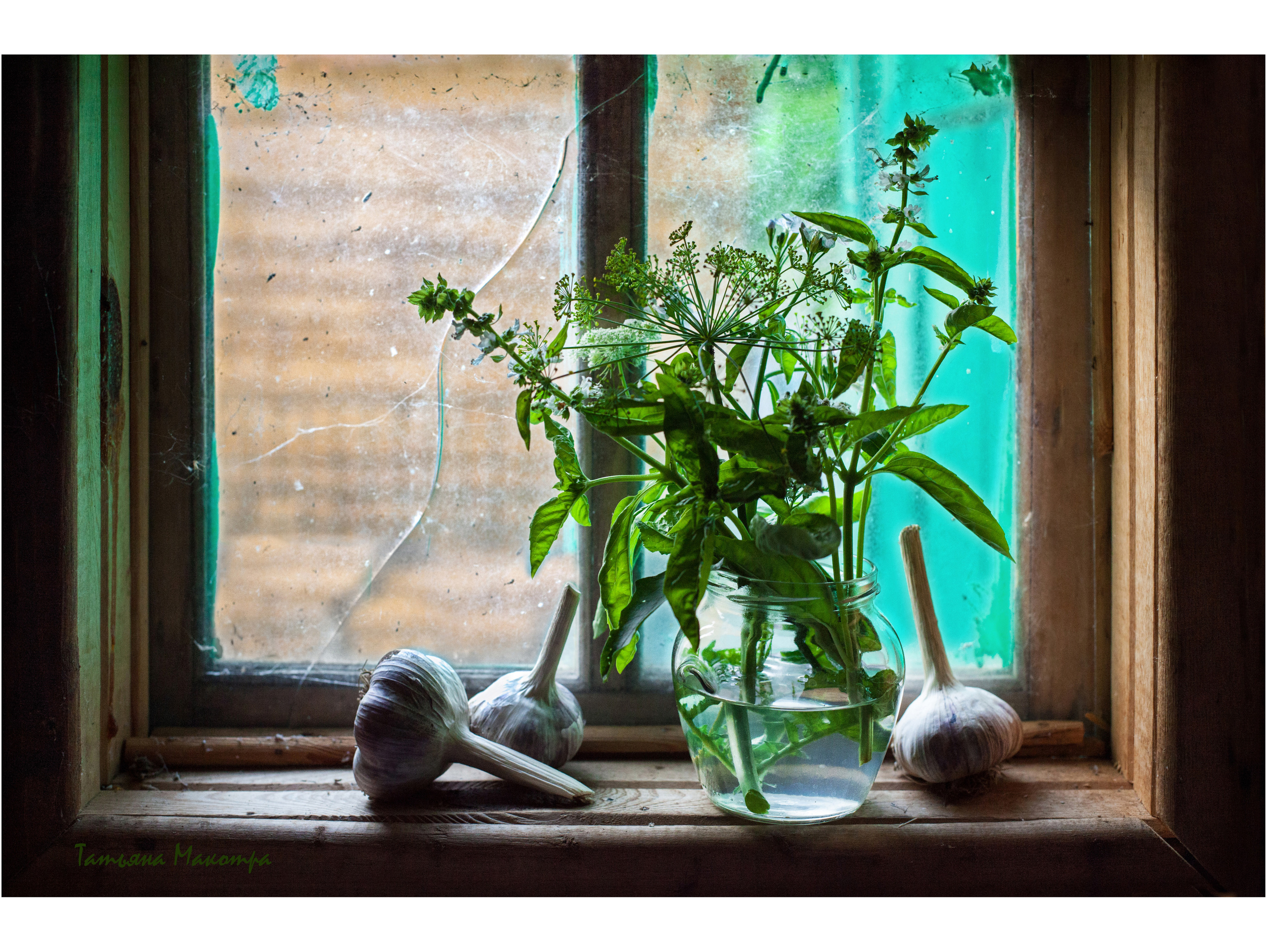 Выставка 2017. Фотограф в Москве Татьяна Макотра