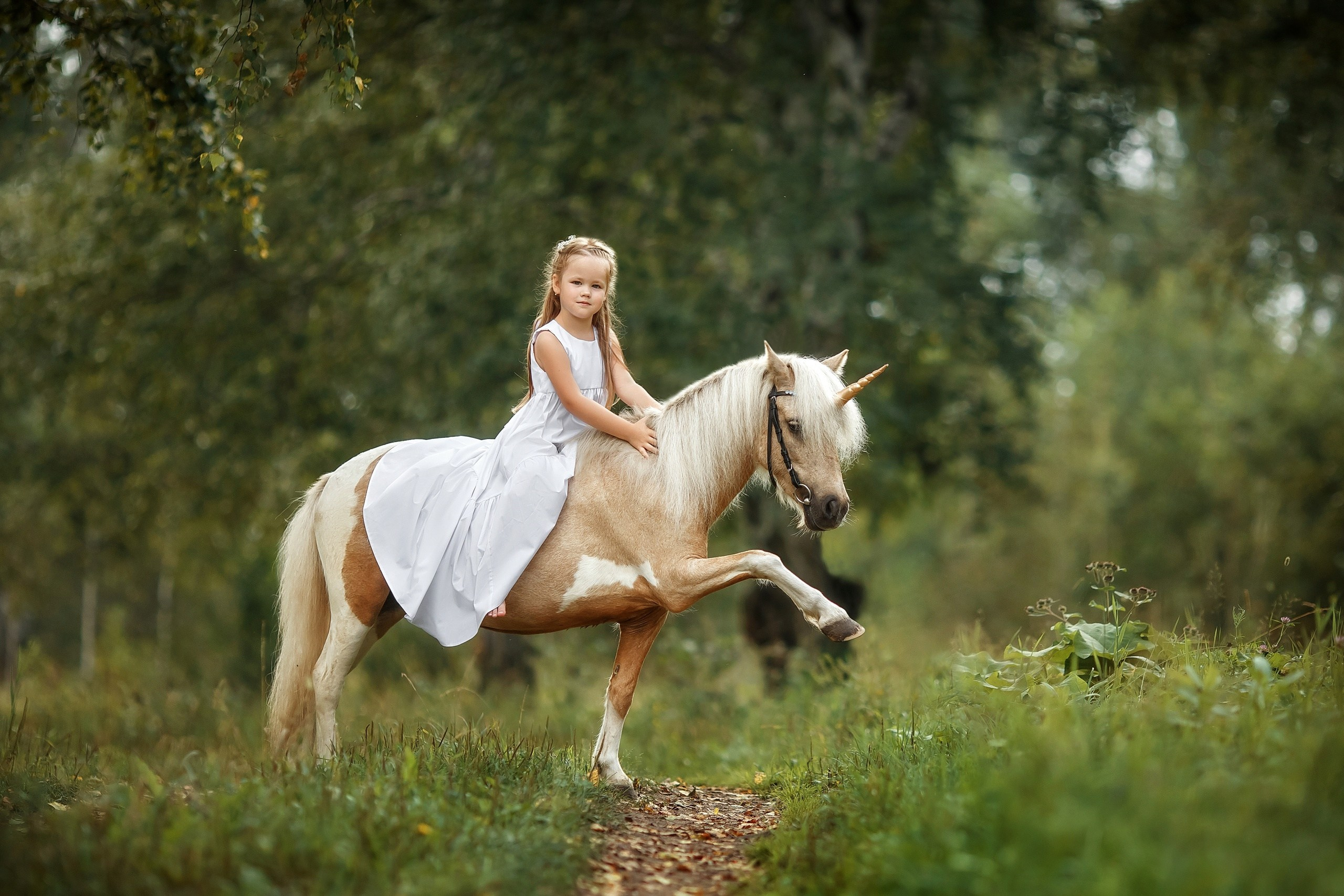 Семейные. Сказочный фотограф фотопроекты фототуры в Новосибирске и на Алтае