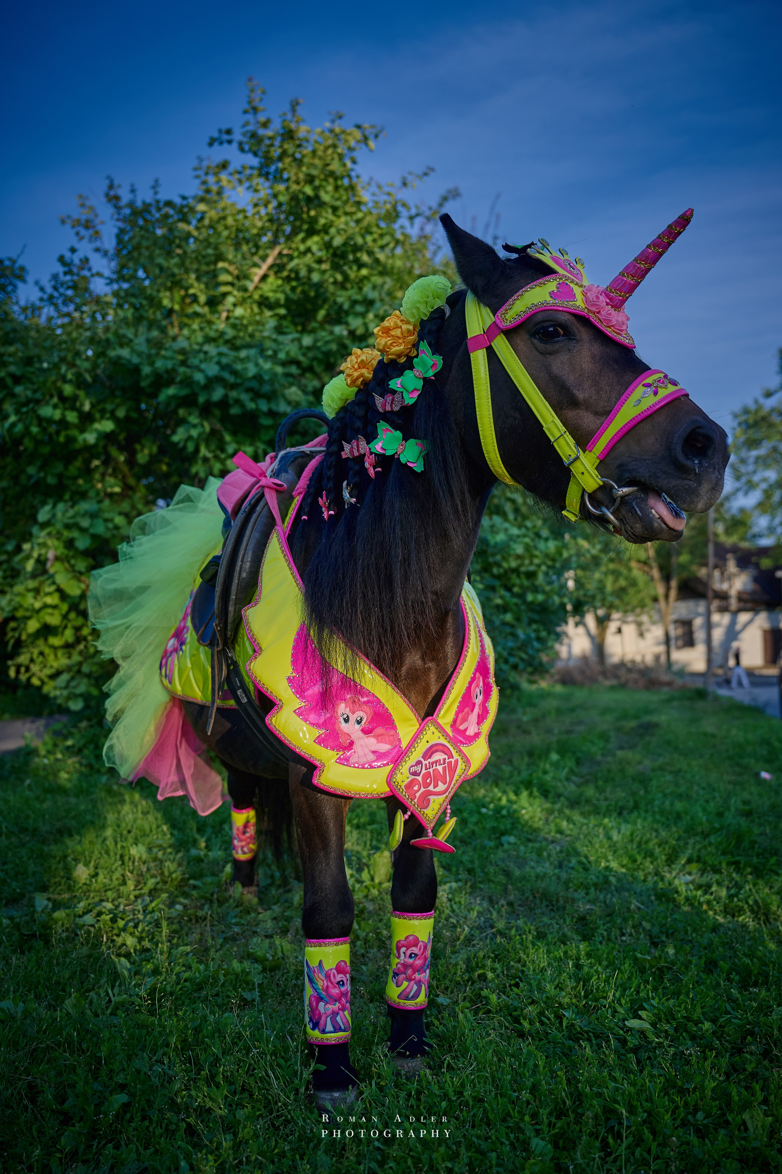 Суздаль. Июнь 2025. Фотограф Роман Адлер