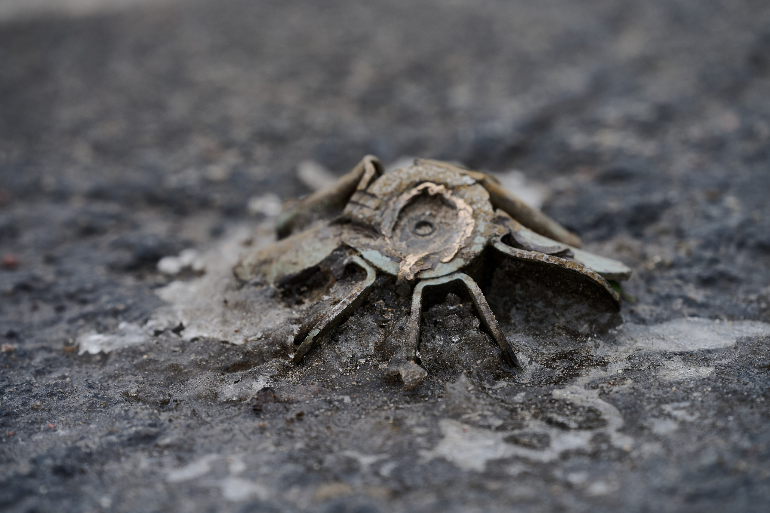 Рубежное. Декабрь 2024. Фотограф Роман Адлер
