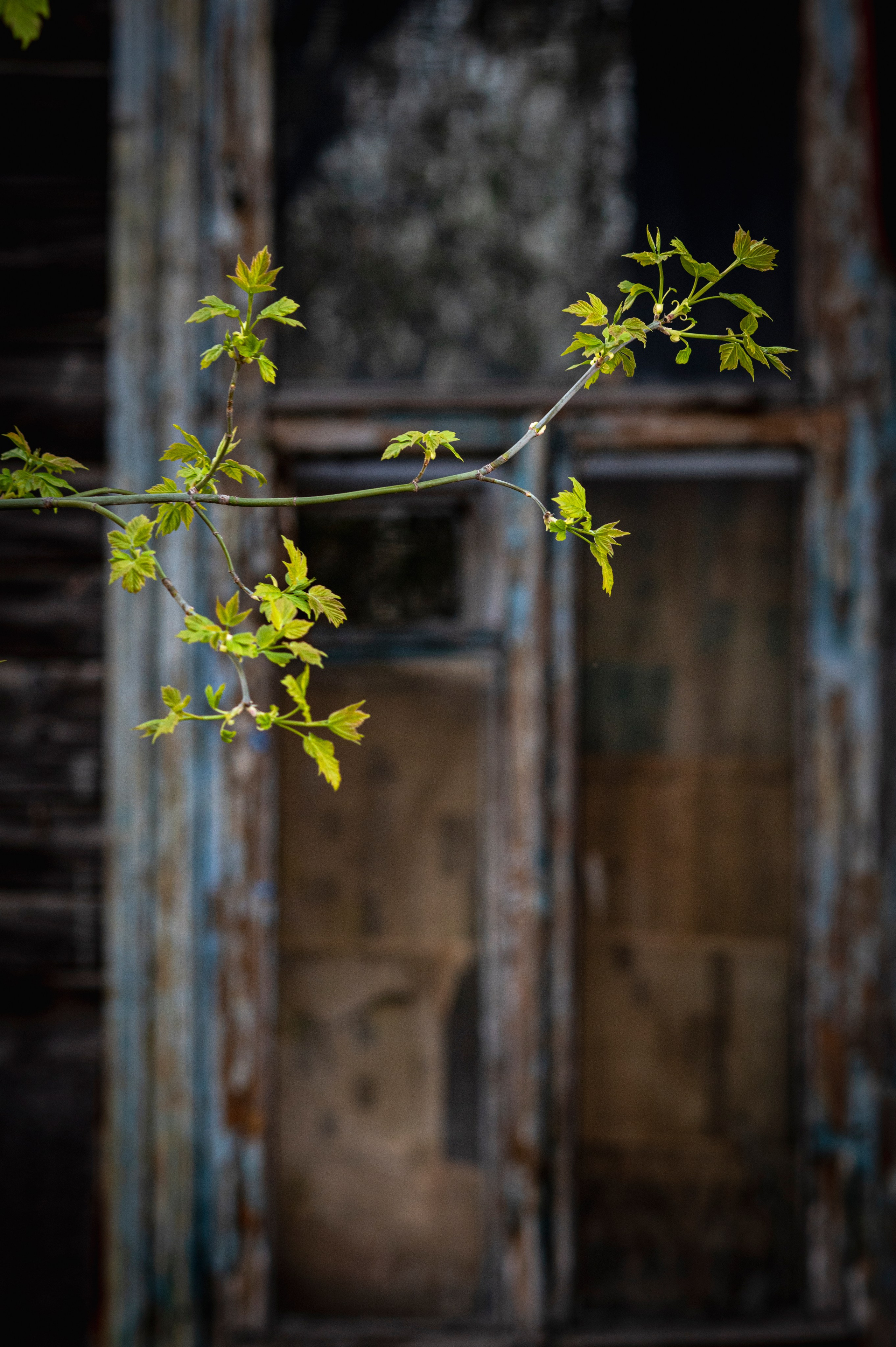 Рязань. Май 2022. Фотограф Роман Адлер