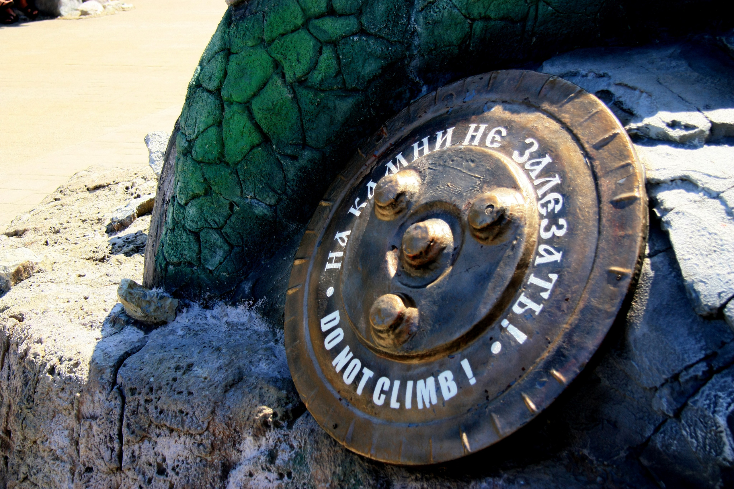 Первые кадры. Сочи — парк. Фотограф Роман Адлер