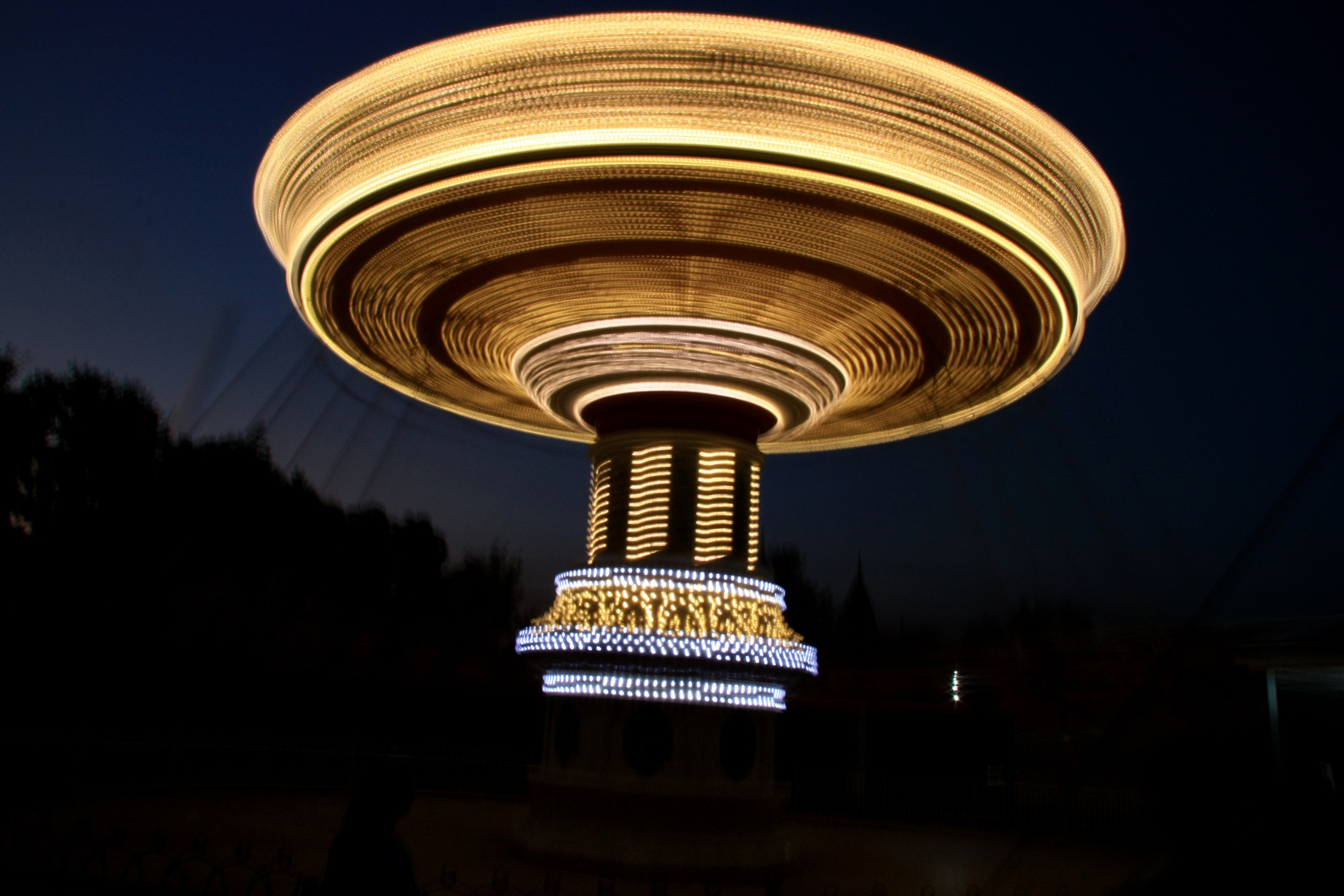 Первые кадры. Сочи — парк. Фотограф Роман Адлер