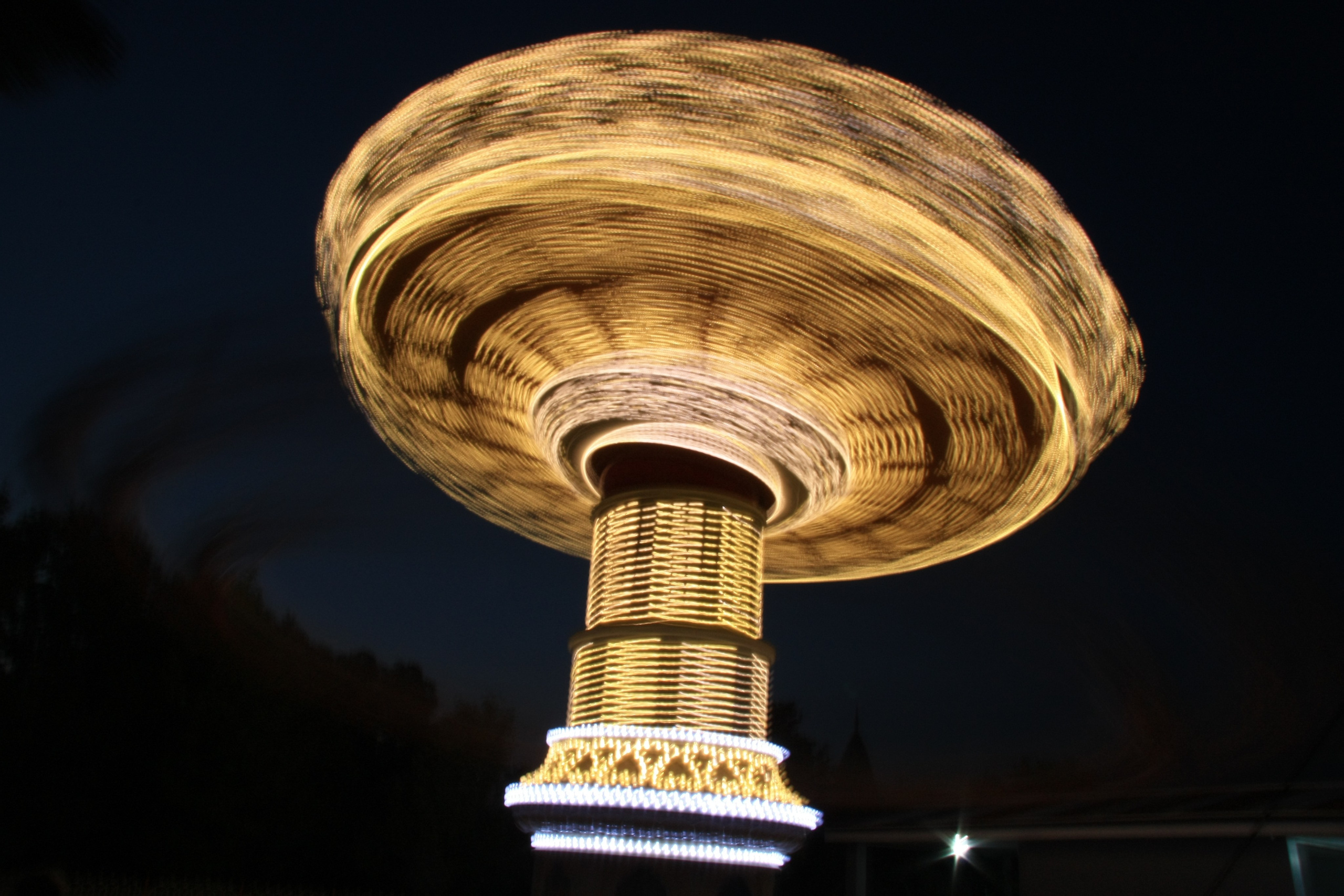 Первые кадры. Сочи — парк. Фотограф Роман Адлер